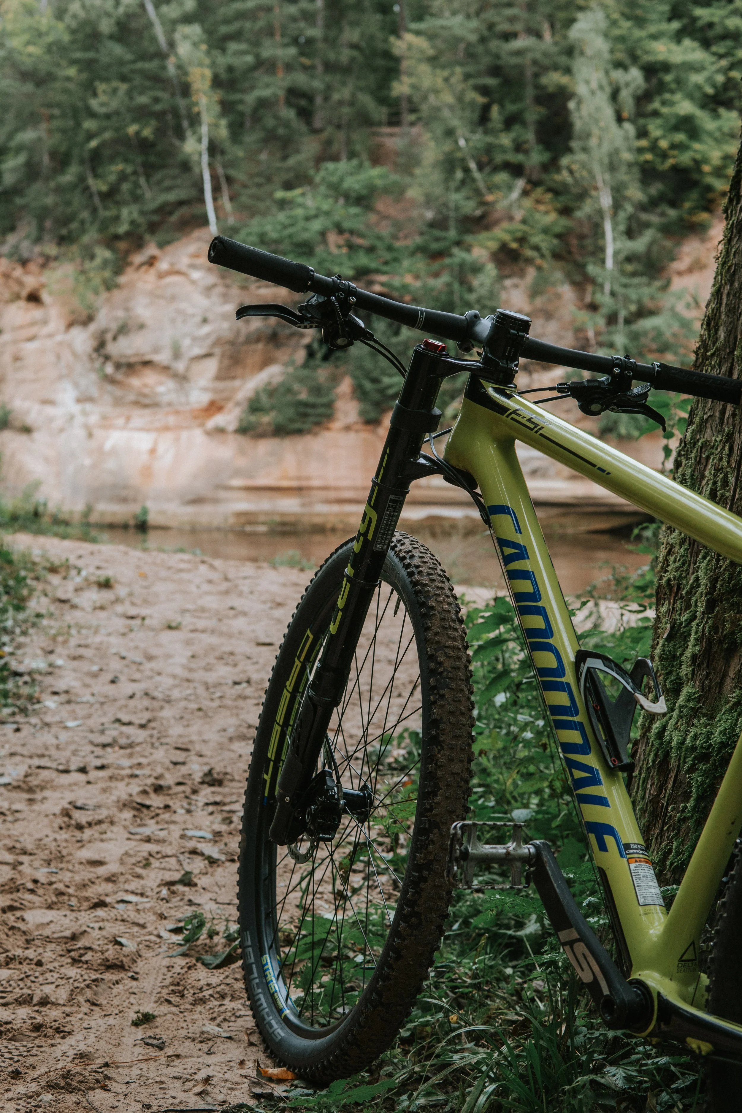 Close-up of a yellow Cannondale mountain bike leaning against a tree on a dirt path near a body of water, with a forest and rocky cliffs in the background.