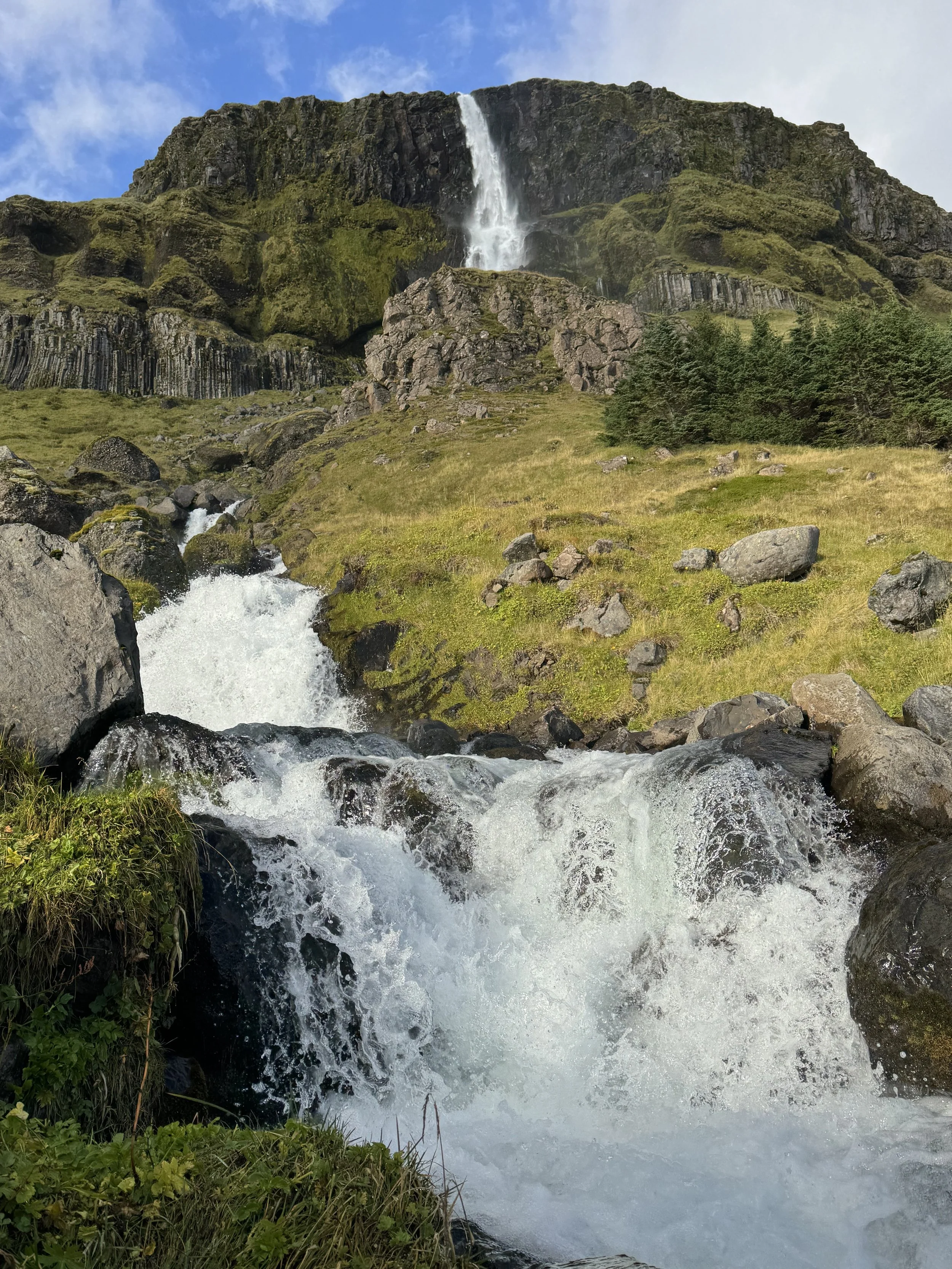 IMG_5590.jpeg