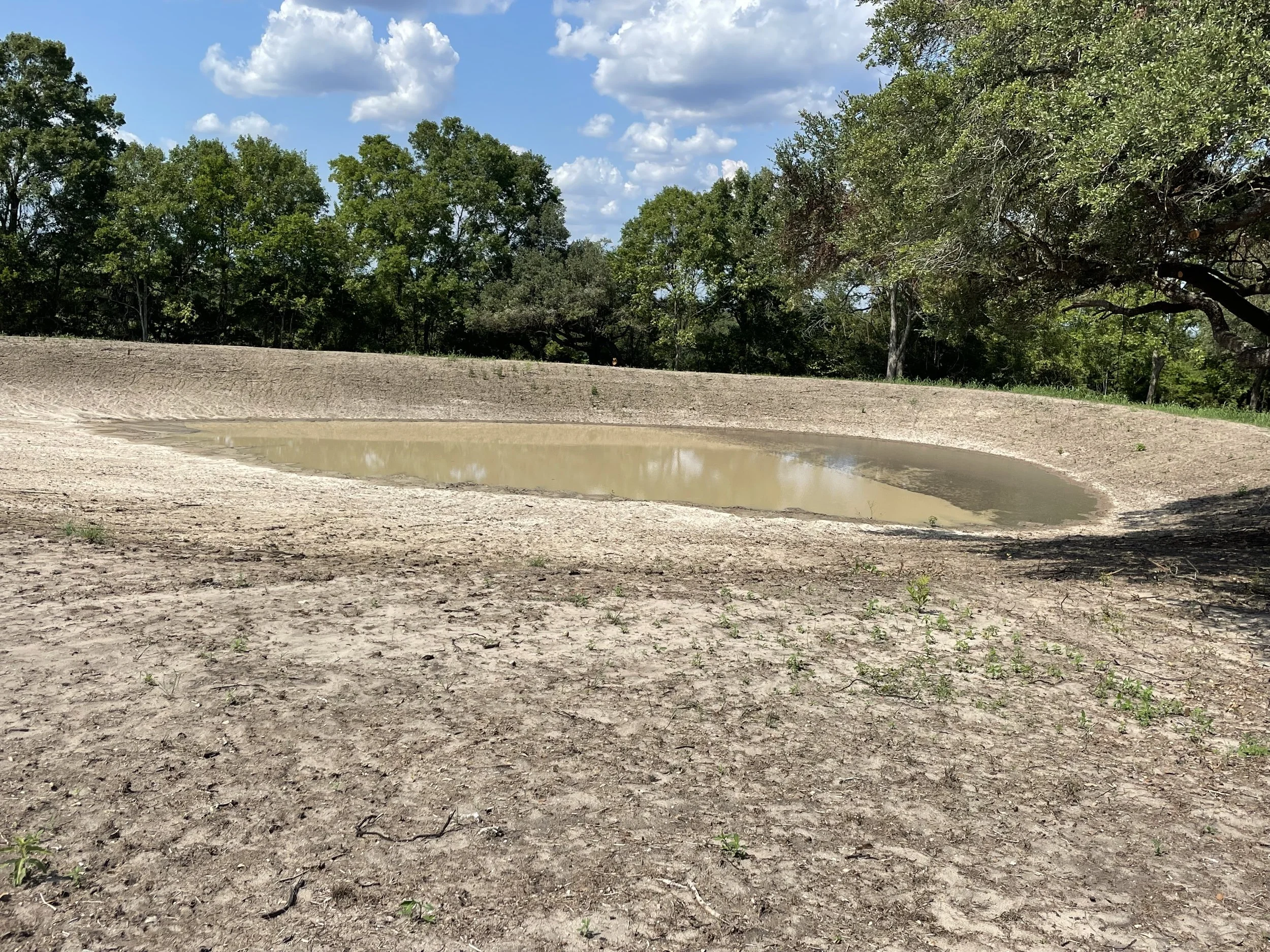 A landscaped lake and pond with a cleared, dirt area surrounded by green trees under a blue sky, provided by G-Quip Services LLC in the Brazos Valley, Texas.
