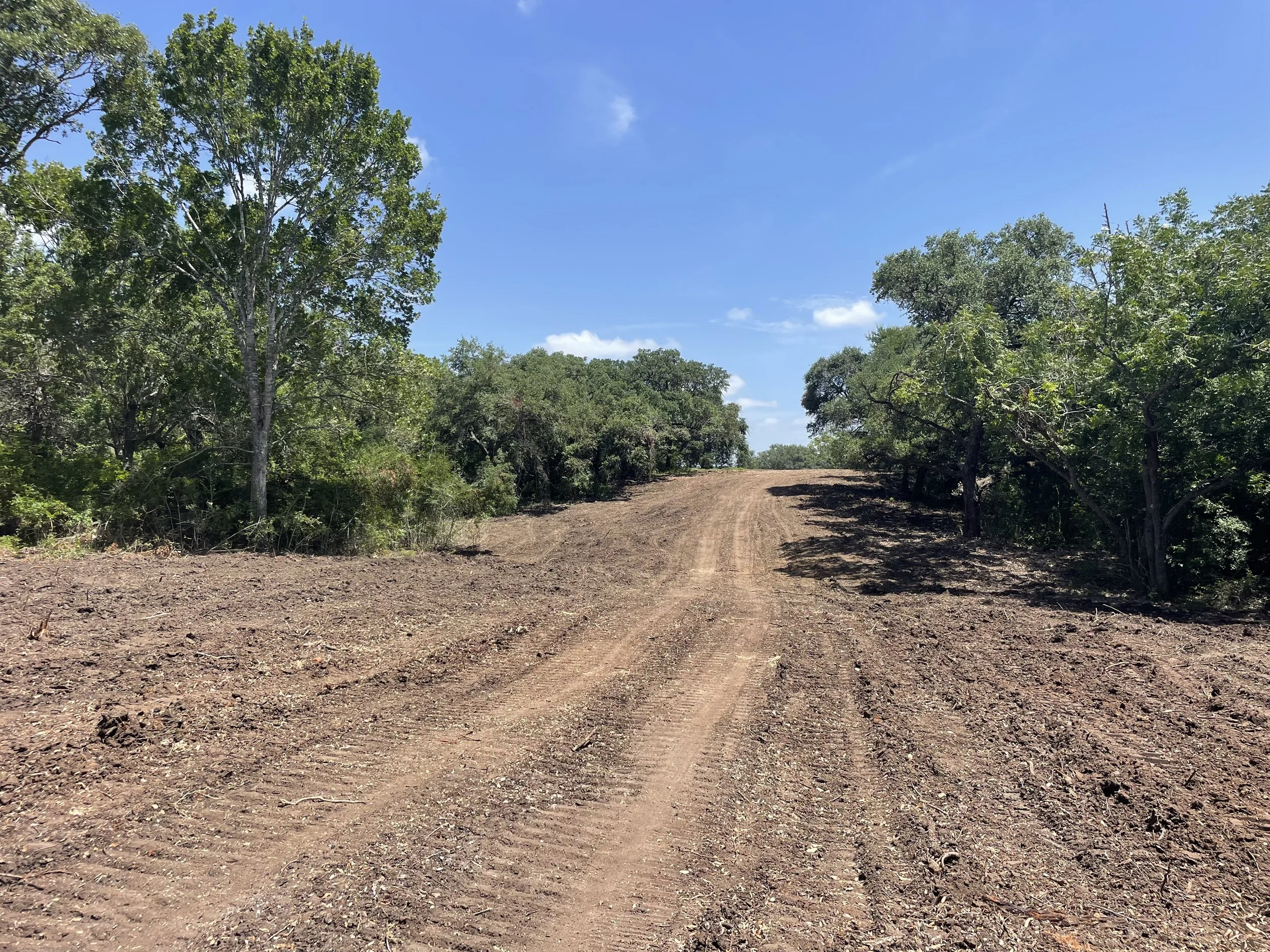 A dirt road leading uphill through a wooded area with green trees on both sides and a blue sky with some clouds overhead, in Brenham, Texas, provided by G-Quip Services LLC in the Brazos Valley, Texas.