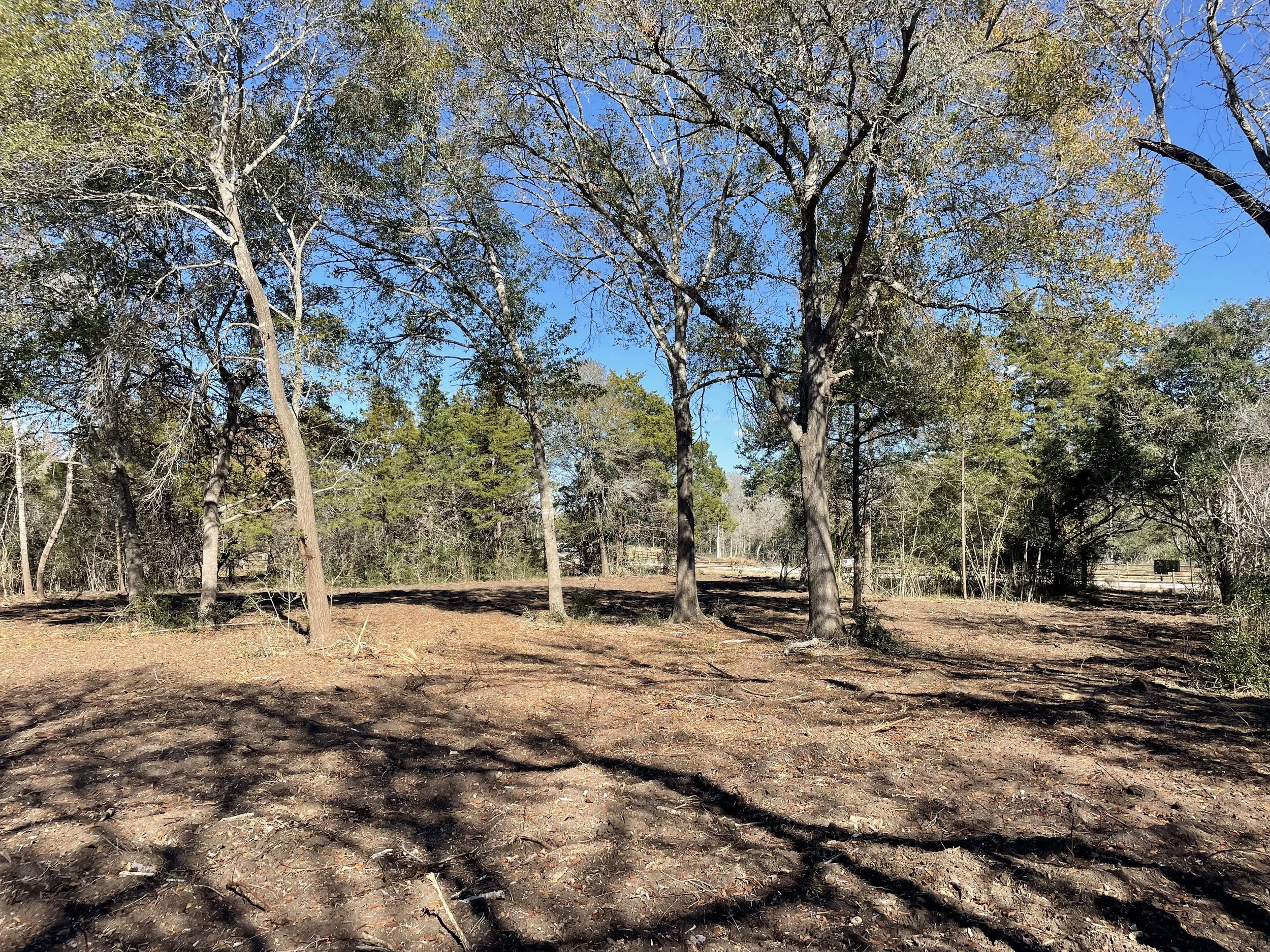A cleared outdoor area with scattered tree shadows, surrounded by trees with some remaining leaves under a clear blue sky, in Chappell Hill Texas with Country Communities, provided by G-Quip Services LLC in the Brazos Valley, Texas. 