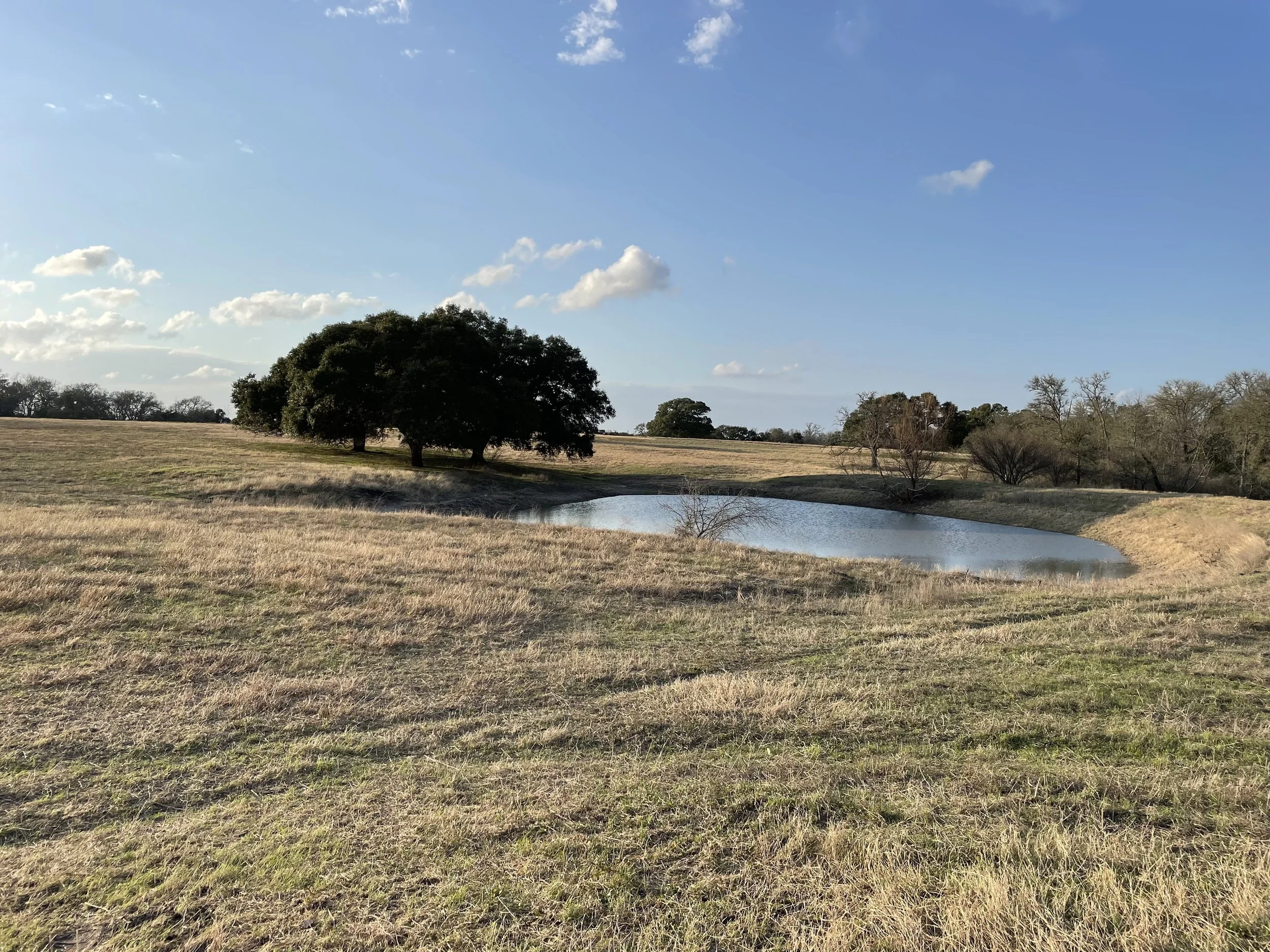 Open grassy field with a small pond and a cluster of large trees under a partly cloudy sky, on a ranch in Brenham, Texas, provided by G-Quip Services LLC in the Brazos Valley, Texas.
