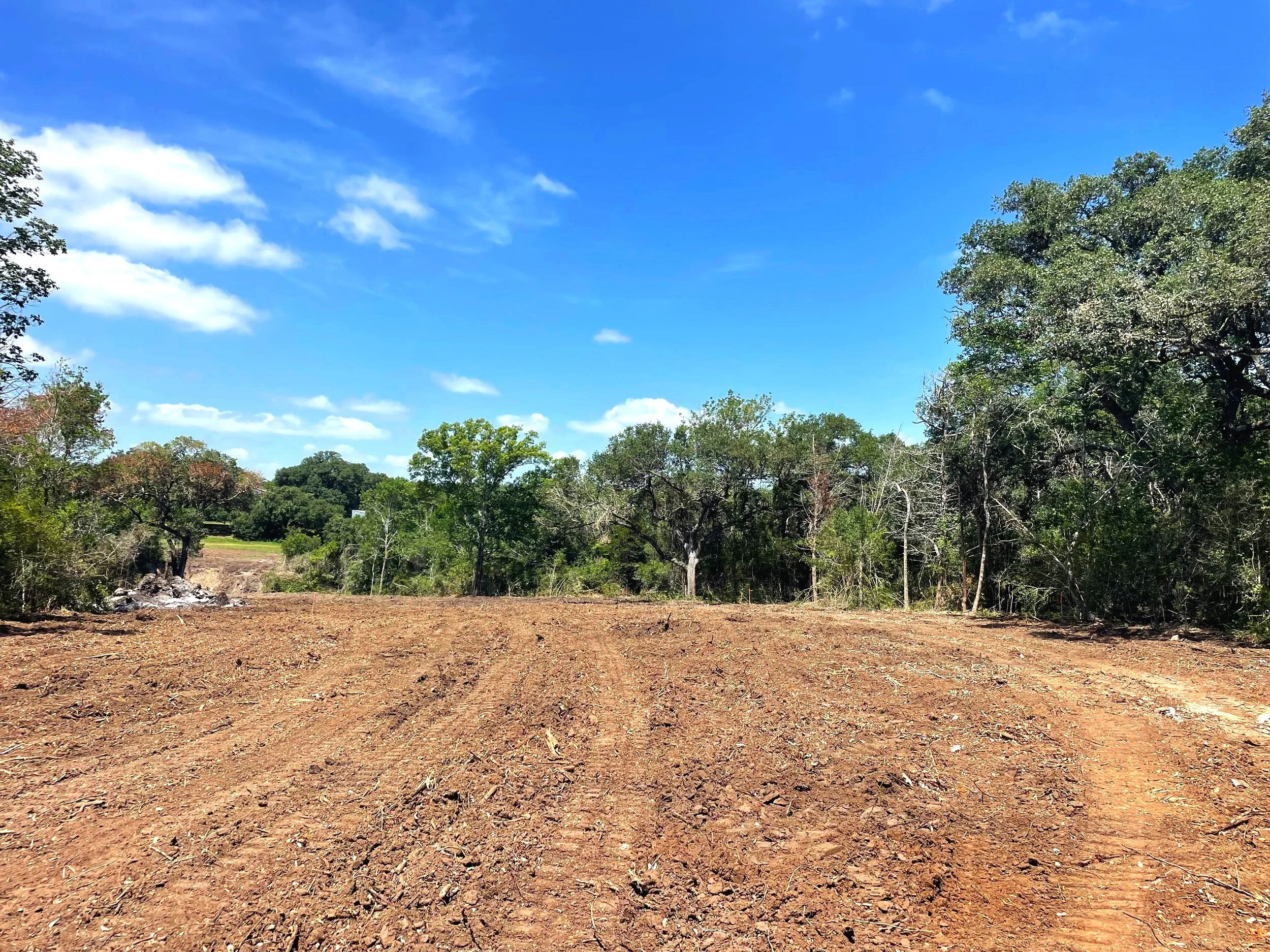 An open dirt field with a line of trees and a blue sky with clouds in the Brazos Valley, Texas.