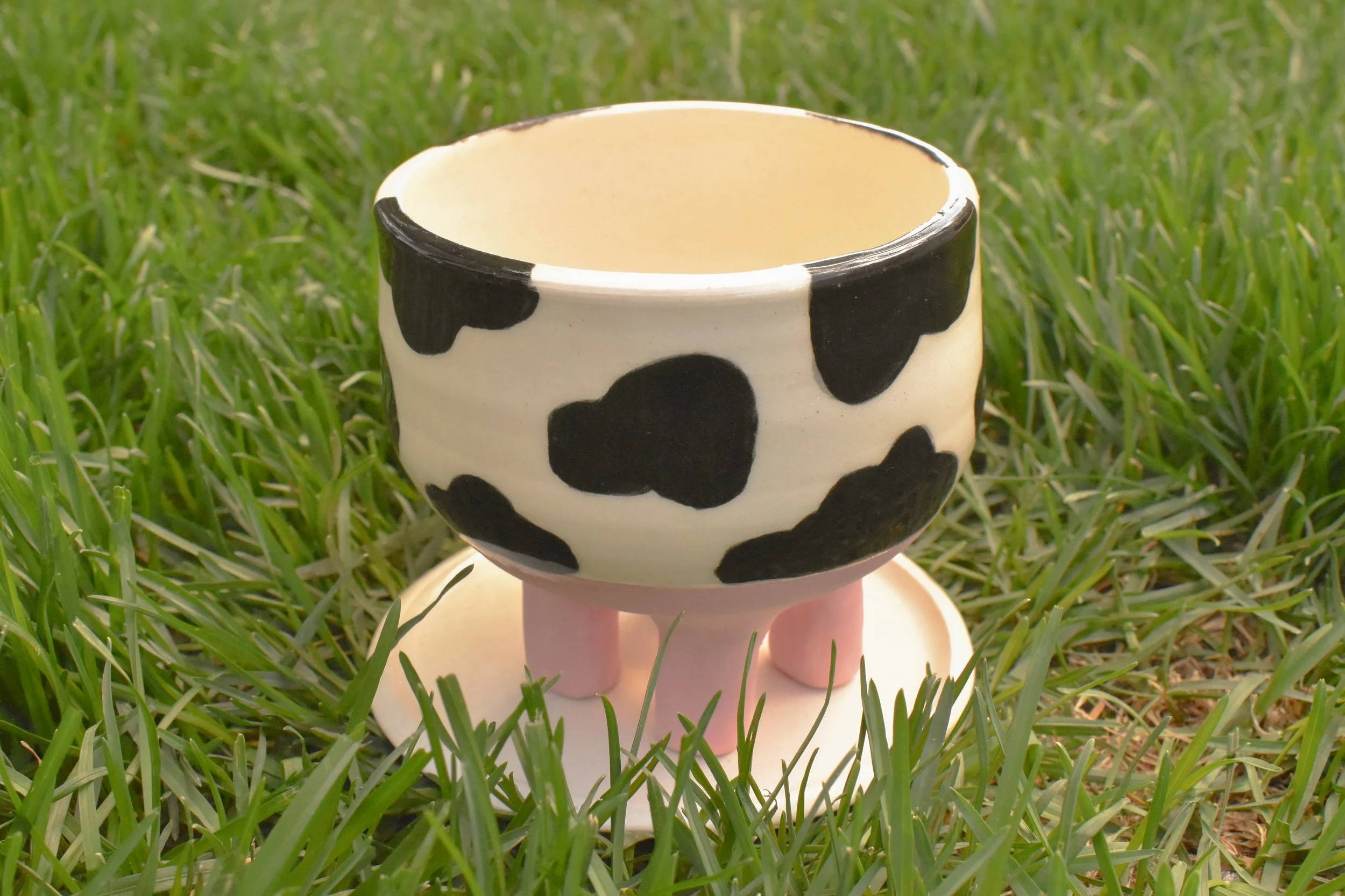 Daisy-121.jpg