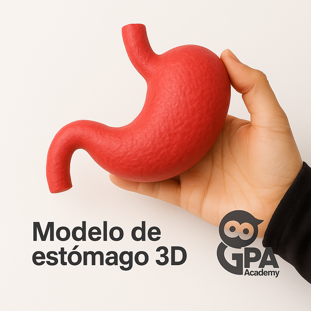 ESTOMAGO 3D (SMART)