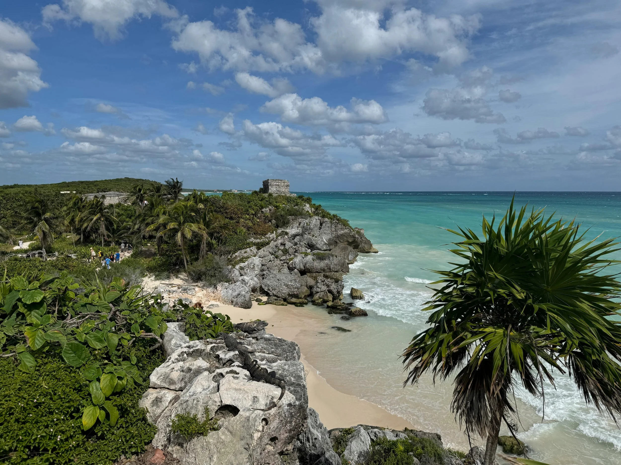 Tropical beach with turquoise water, sandy shore, green palm trees, and rocky cliffs under a cloudy sky.