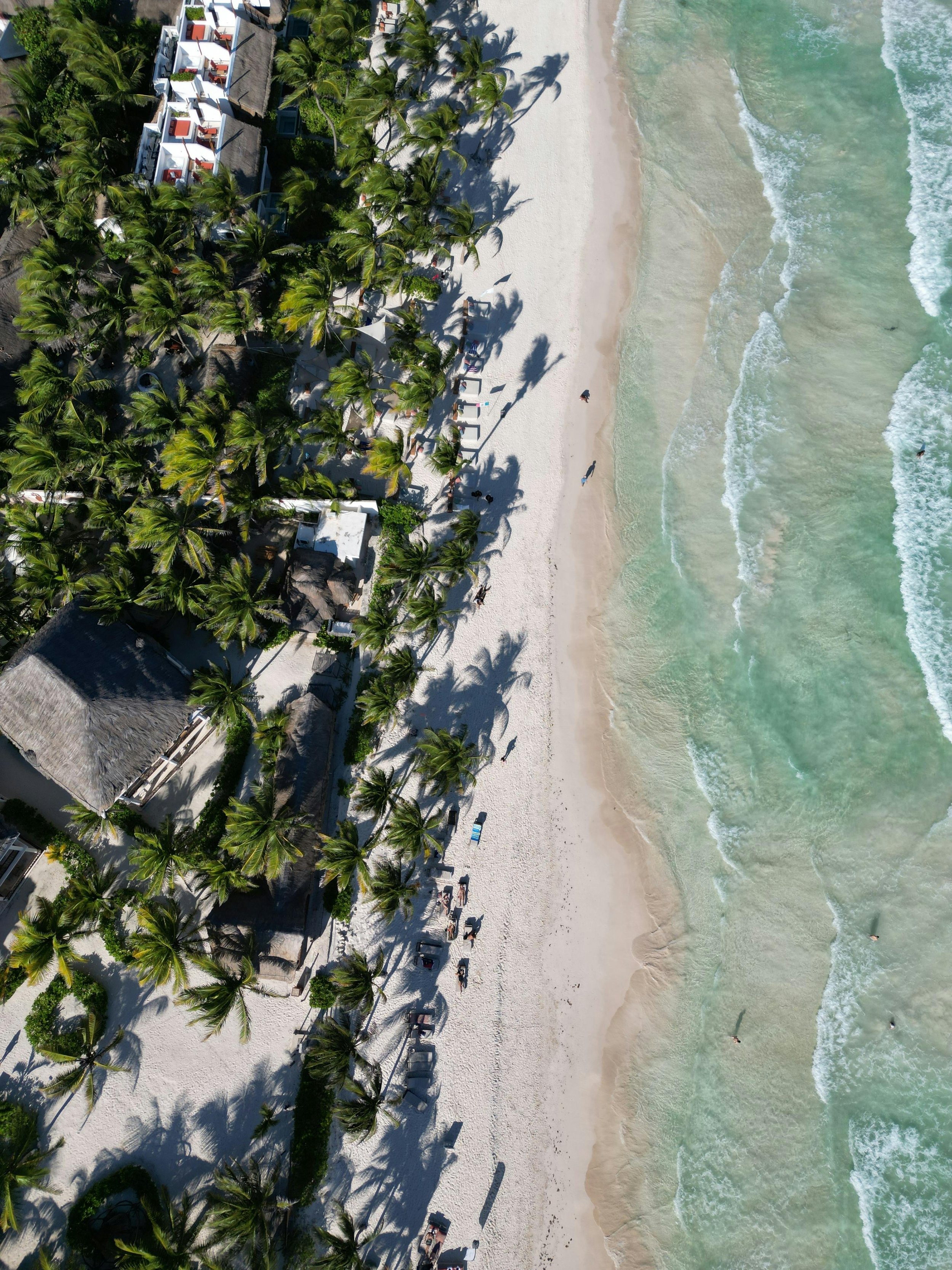 An aerial view of a beach showing white sand, turquoise water, palm trees lining the shore, and some buildings among the trees.