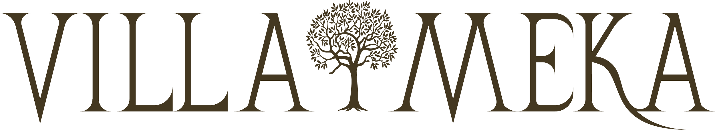 The logo features the word 'VILLA' followed by a stylized tree, then the word 'AMERICA' in large uppercase letters, all in a dark color.