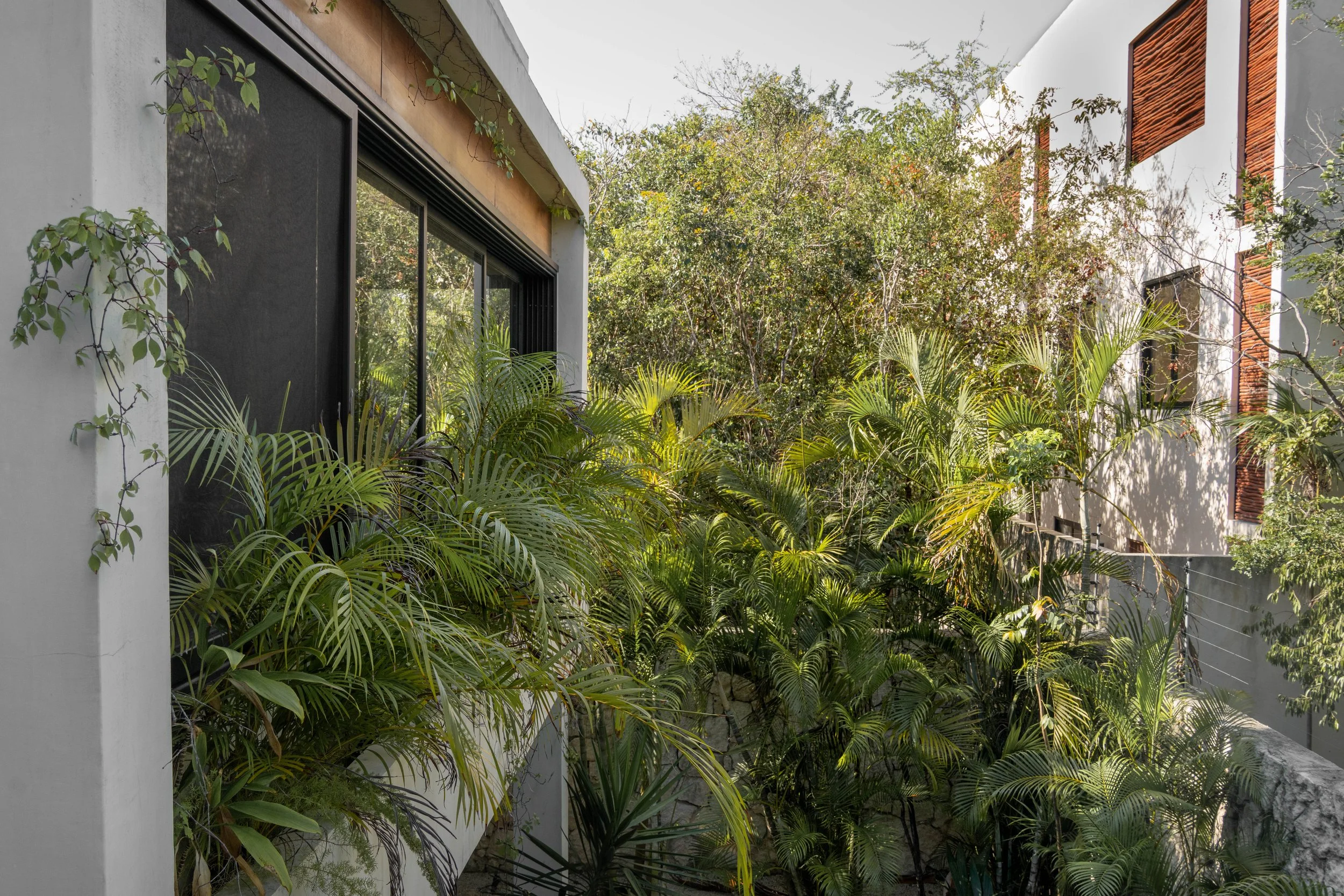 Modern building with white walls, black window frames, and a balcony railing, surrounded by lush green tropical plants and trees.
