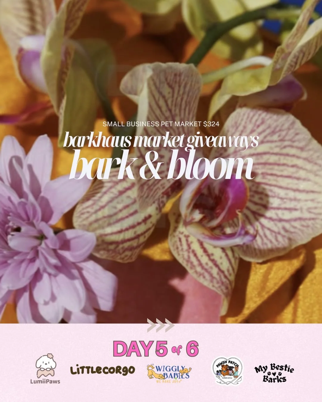 🌸 @barkhausmarket Giveaways DAY 5 of 6 has a little bit of everything from accessories for both humans and pets to a cake and baked goods bundle?! If you&rsquo;re new to BC, you&rsquo;ll be even more excited to learn that we have some of the most am