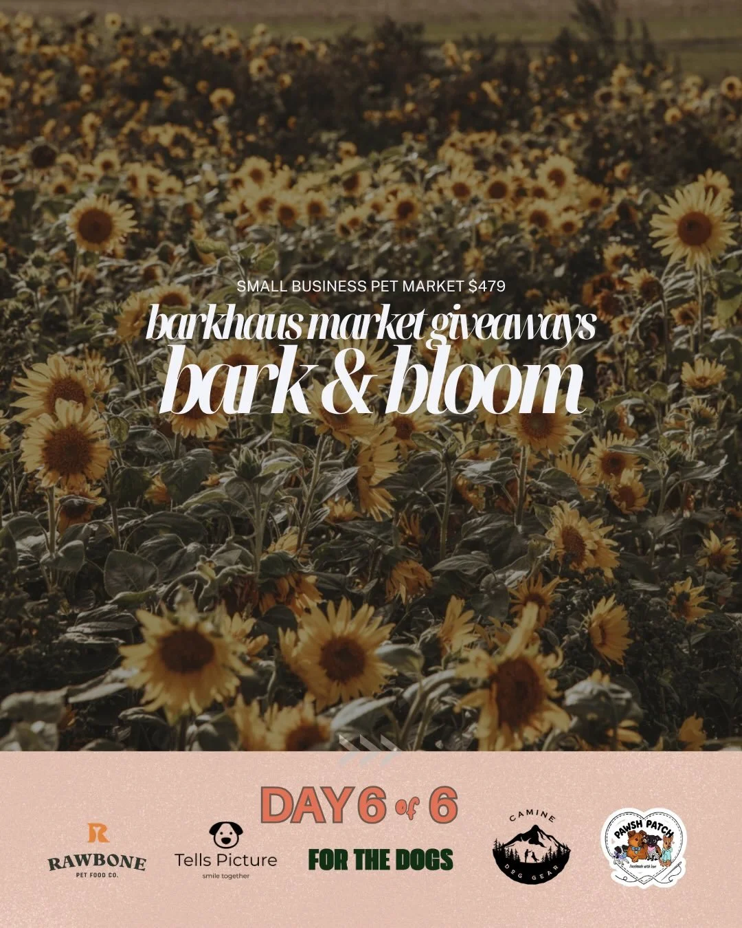🌻 @barkhausmarket Giveaways DAY 6 of 6 is here and that means TOMORROW is the day! Day 6 is a perfect bundle of Vancouver and how to capture the lovely moments in it. Load up your Daily Trainer from @caminedoggear with our fave @rawbone_petfoodco Kr
