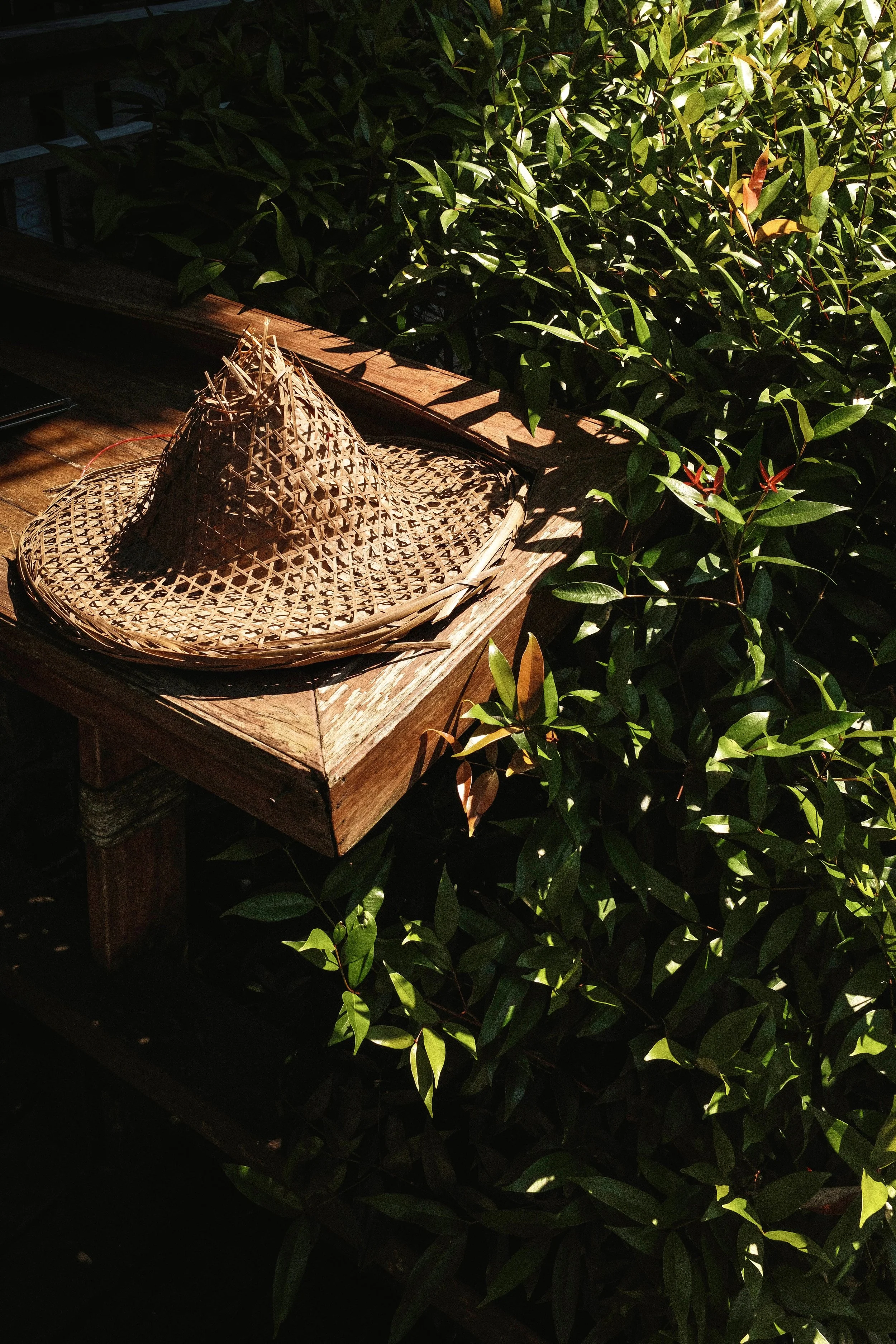 resort-9.jpg