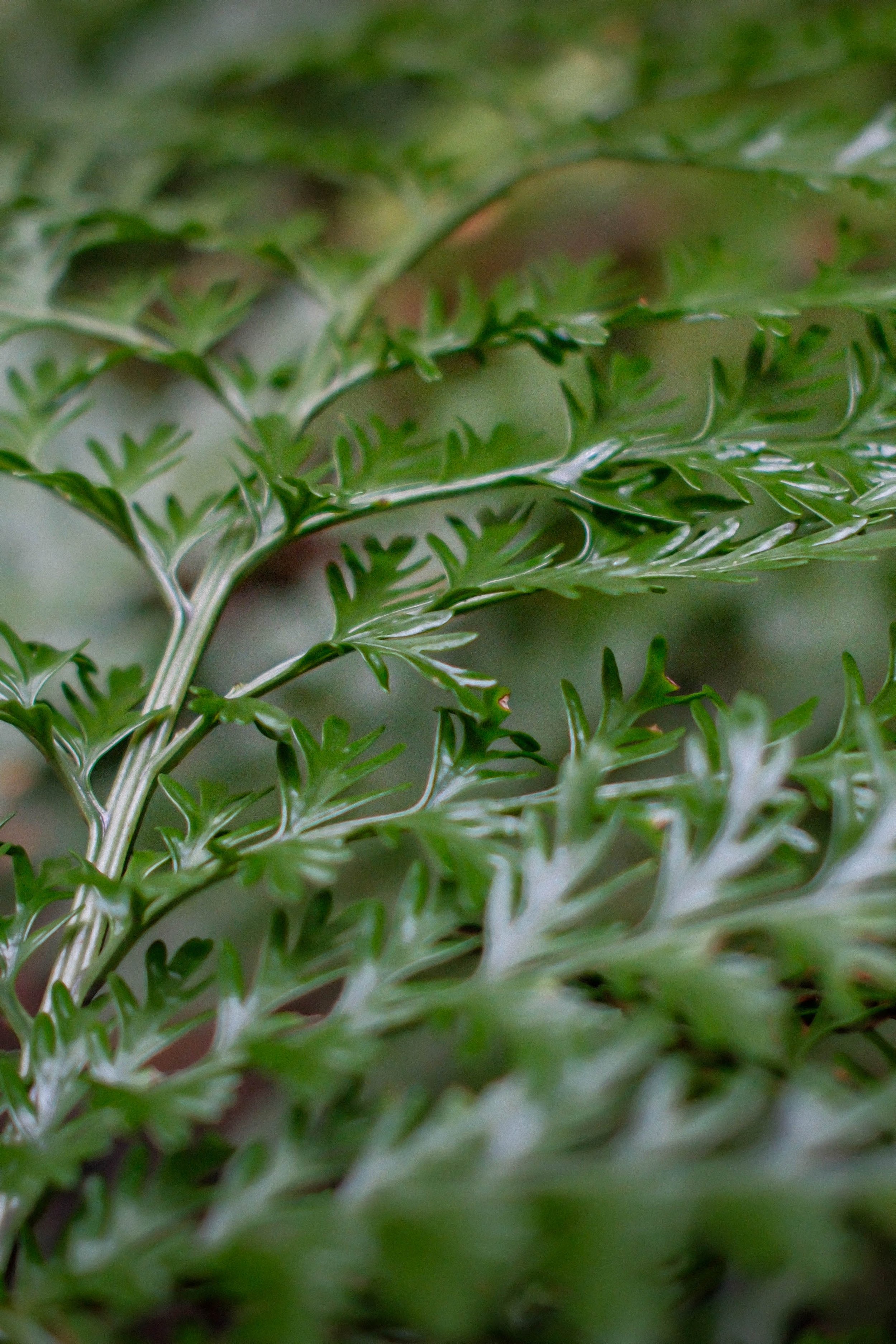 DSCF5847.jpg
