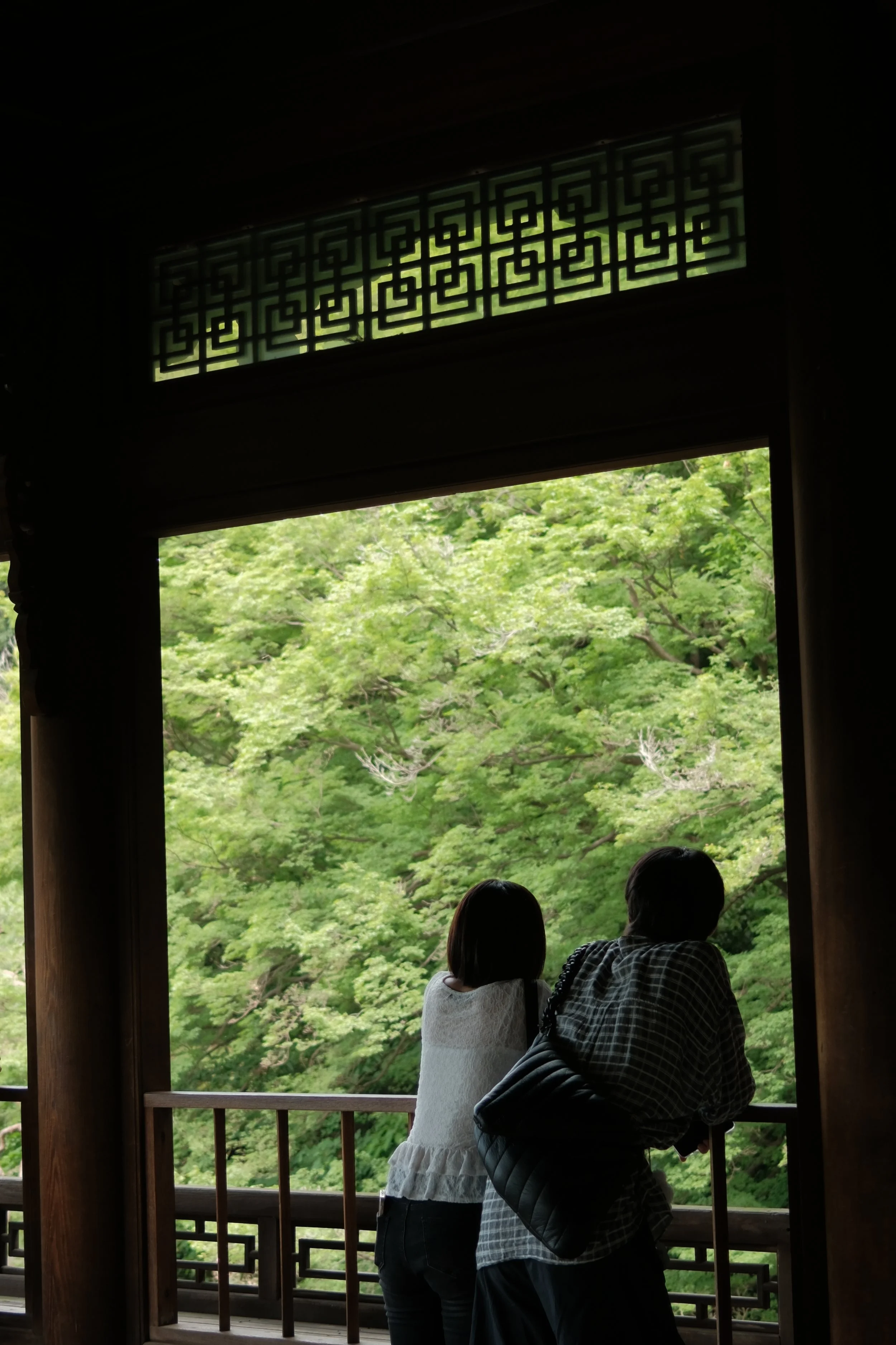 DSCF3321.JPG