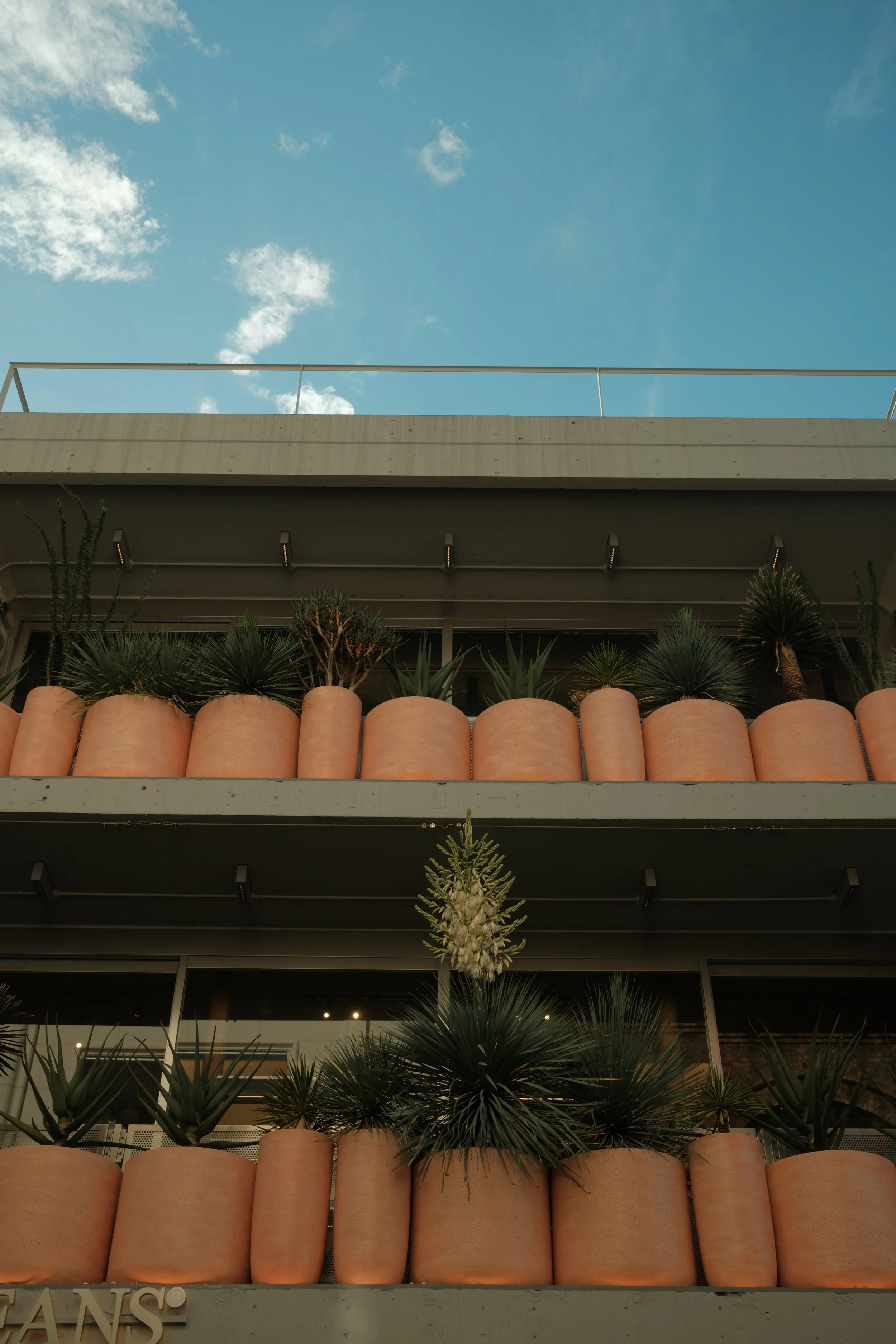 DSCF3333.JPG