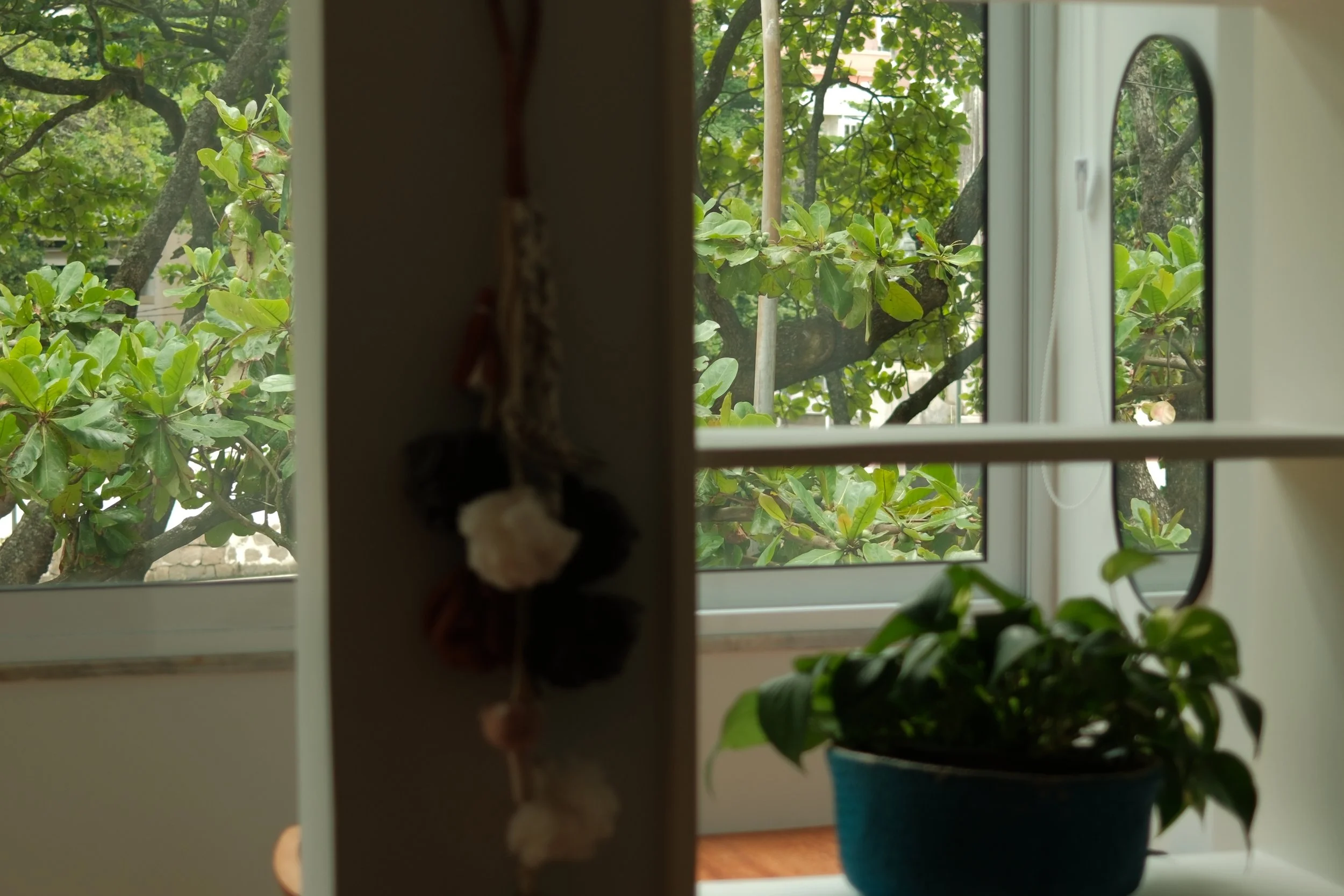DSCF8670.JPG