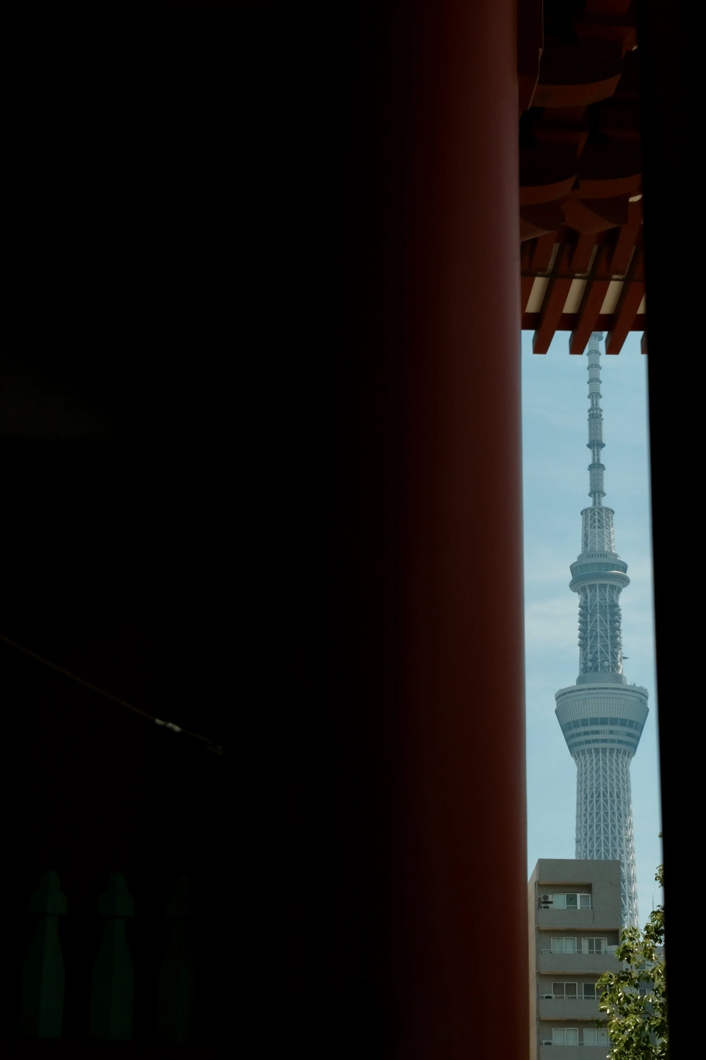 DSCF3567.jpg
