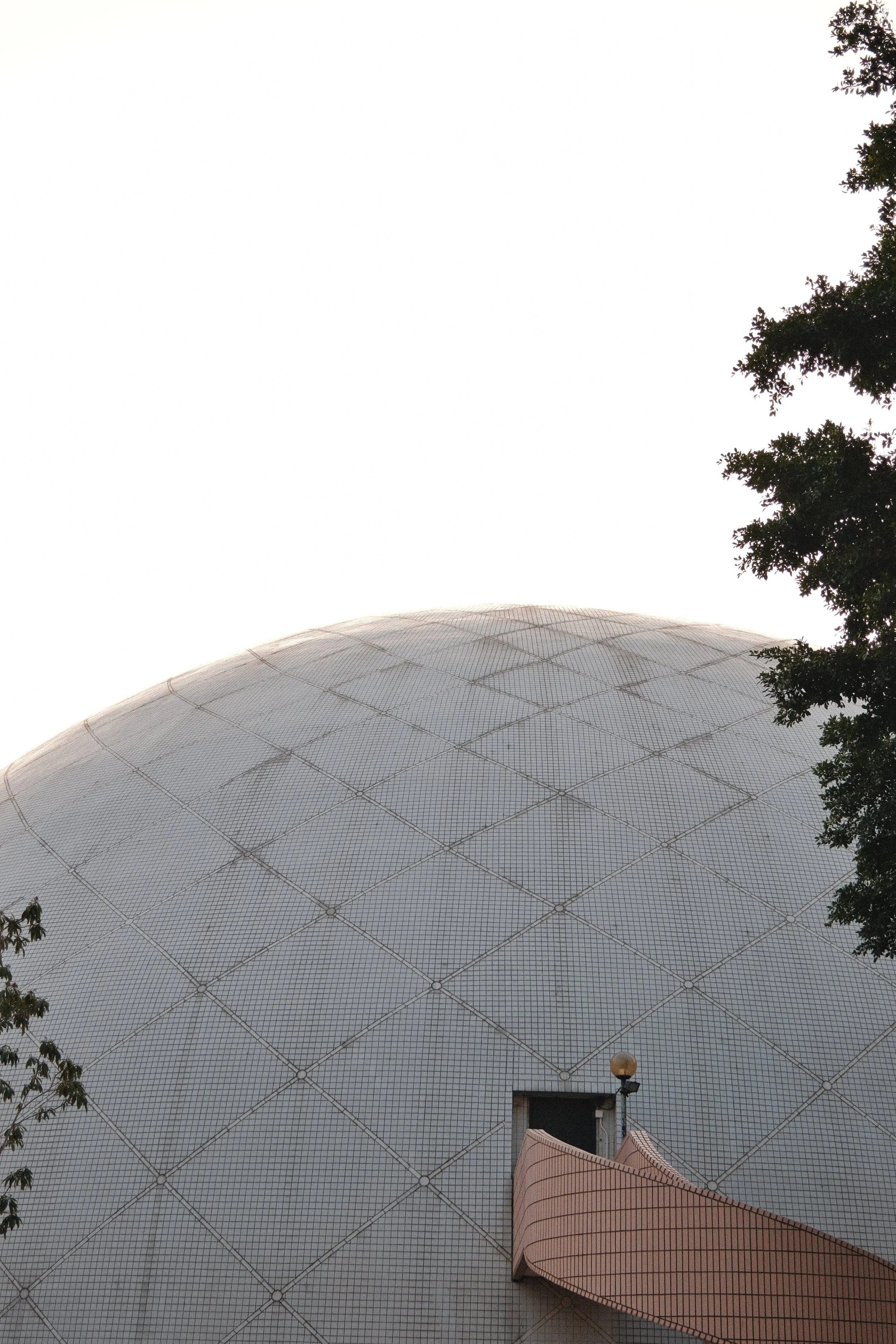 _DSF7141.jpg