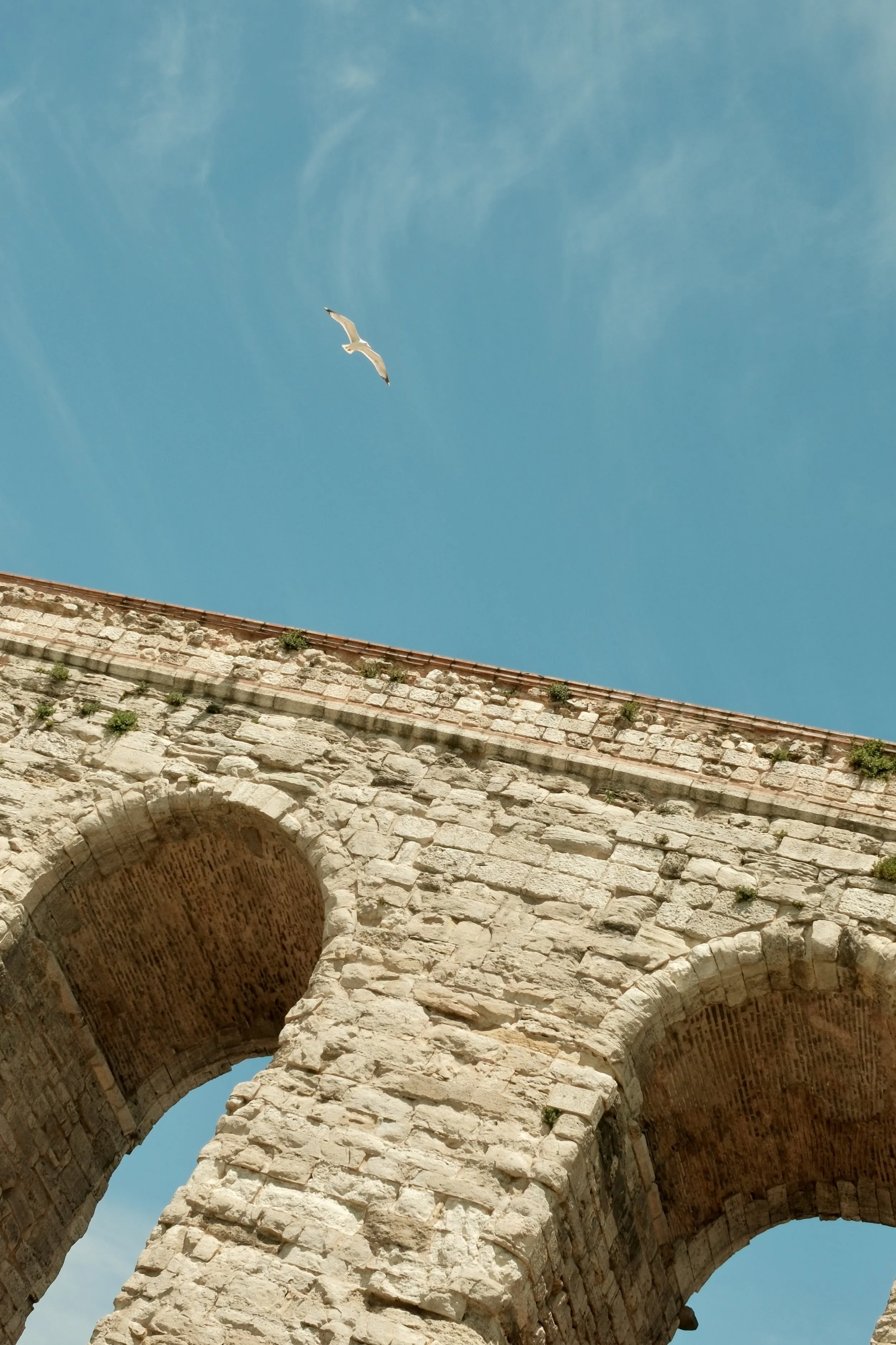 DSCF2289 2.jpg