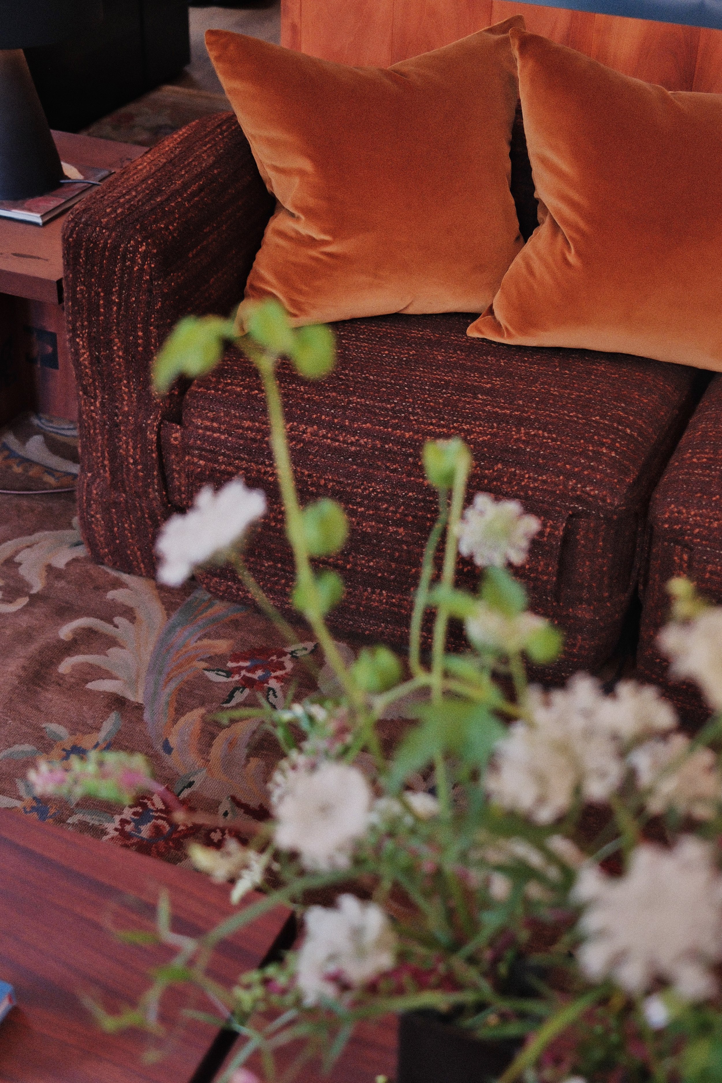 DSCF5925.jpg