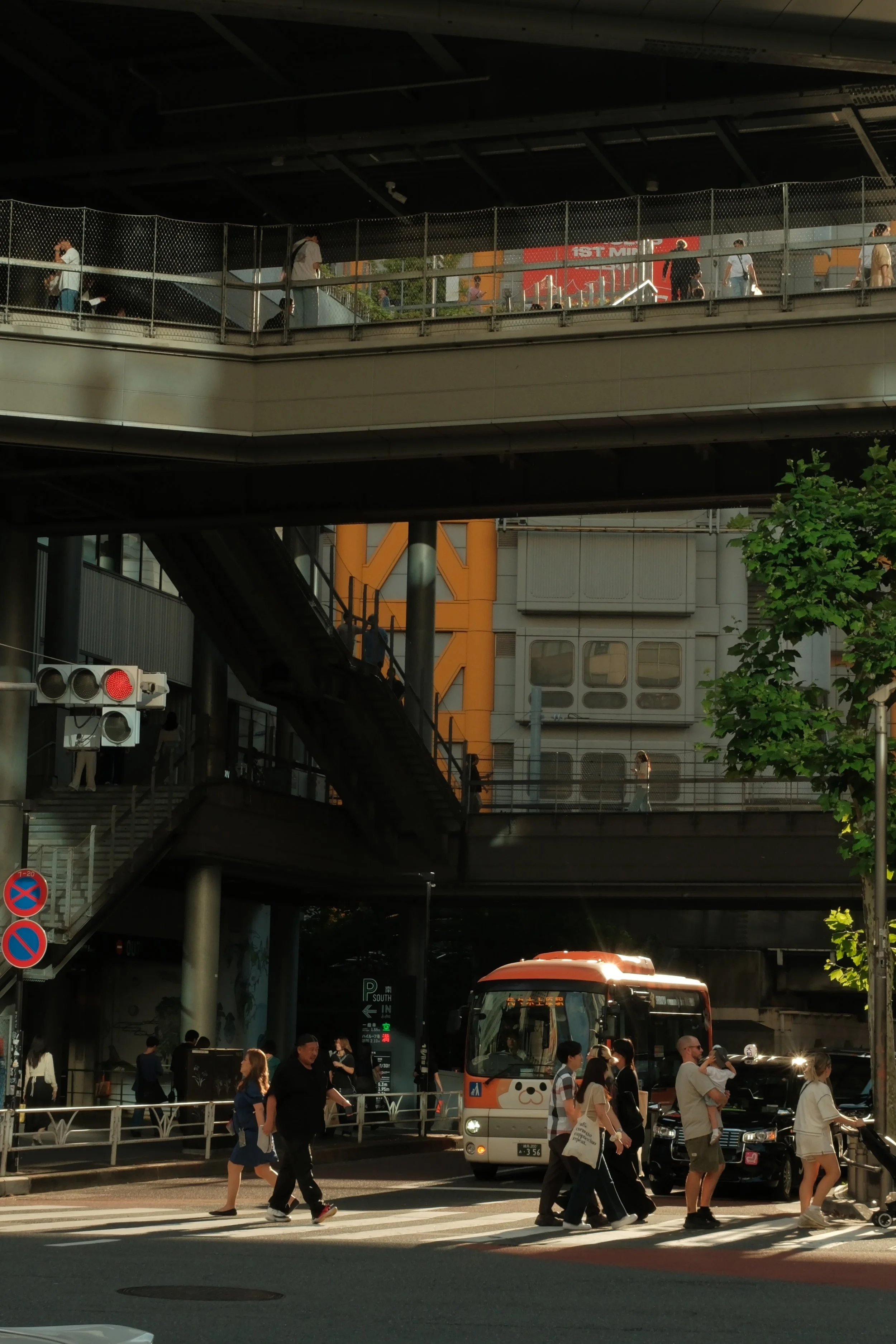 DSCF3338.JPG