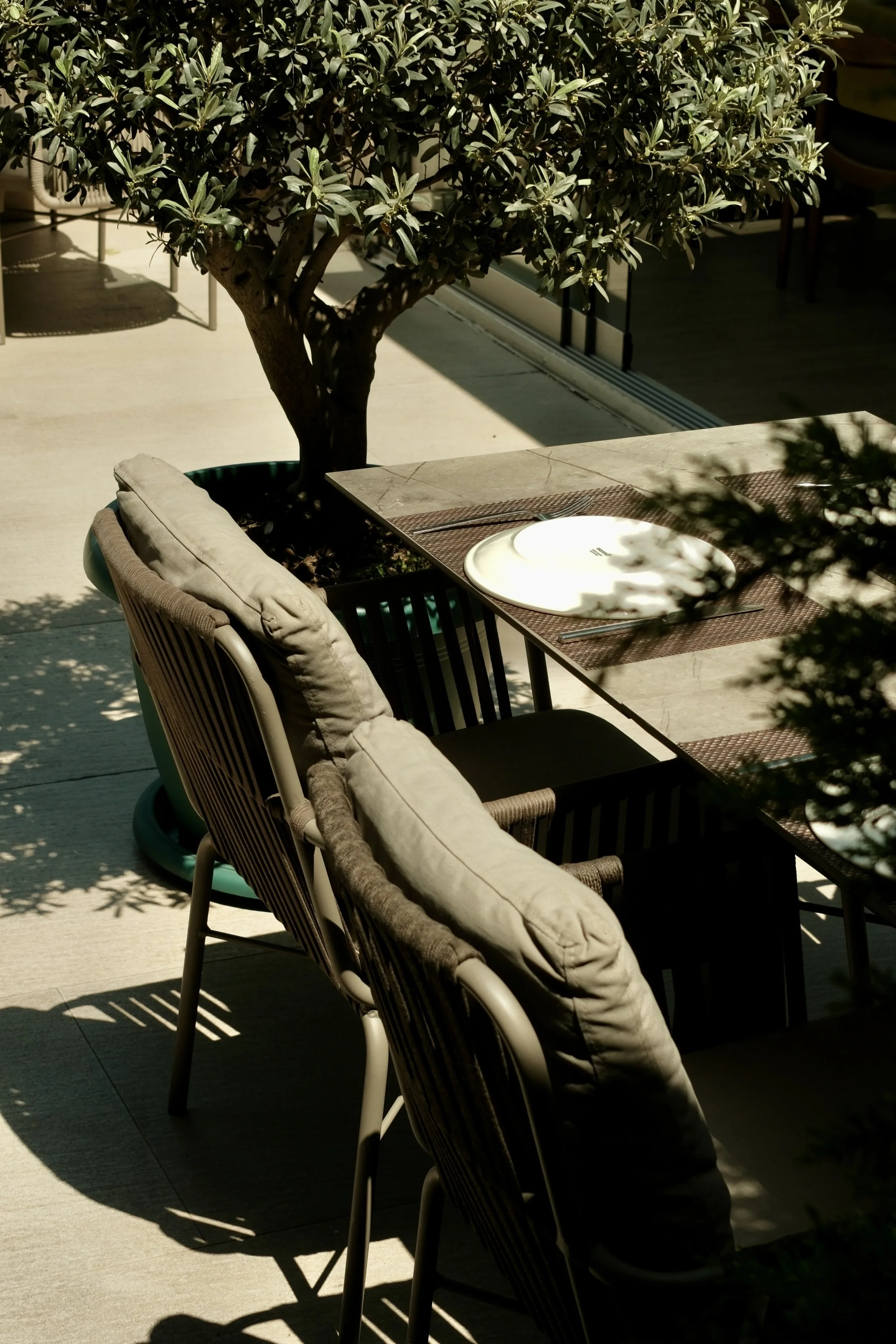 DSCF2264.jpg