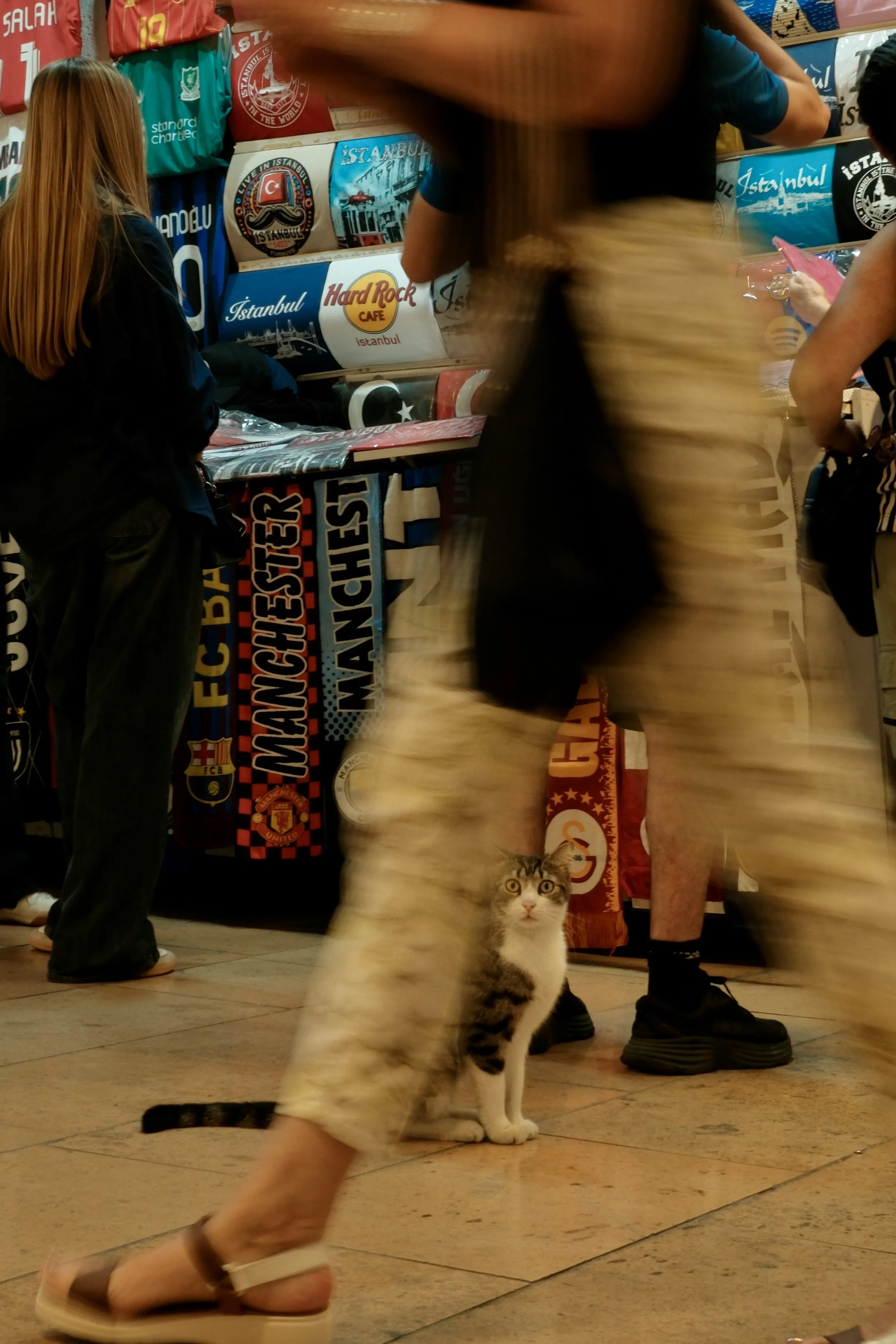 DSCF2100.jpg
