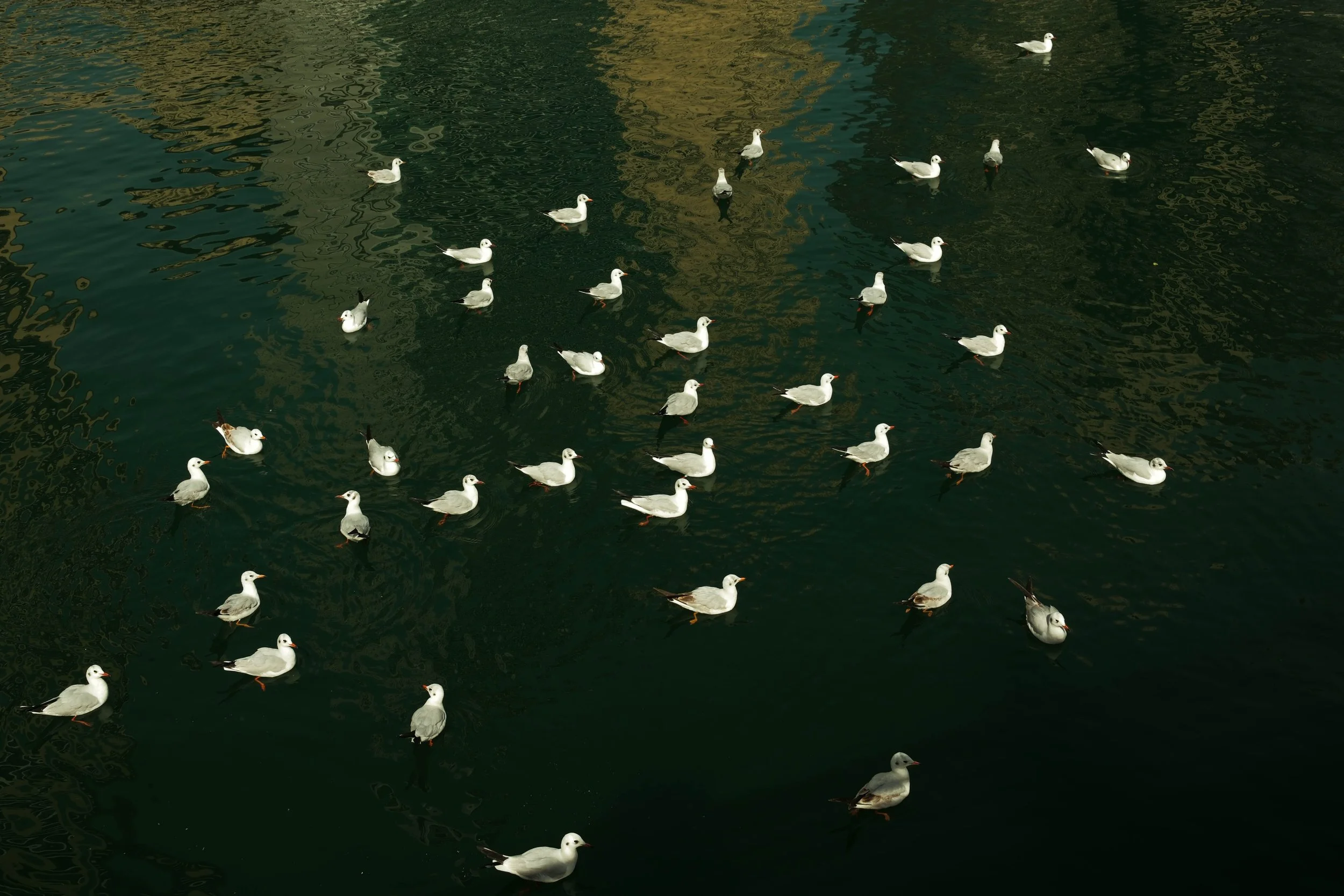 dubaiedited-10.jpg