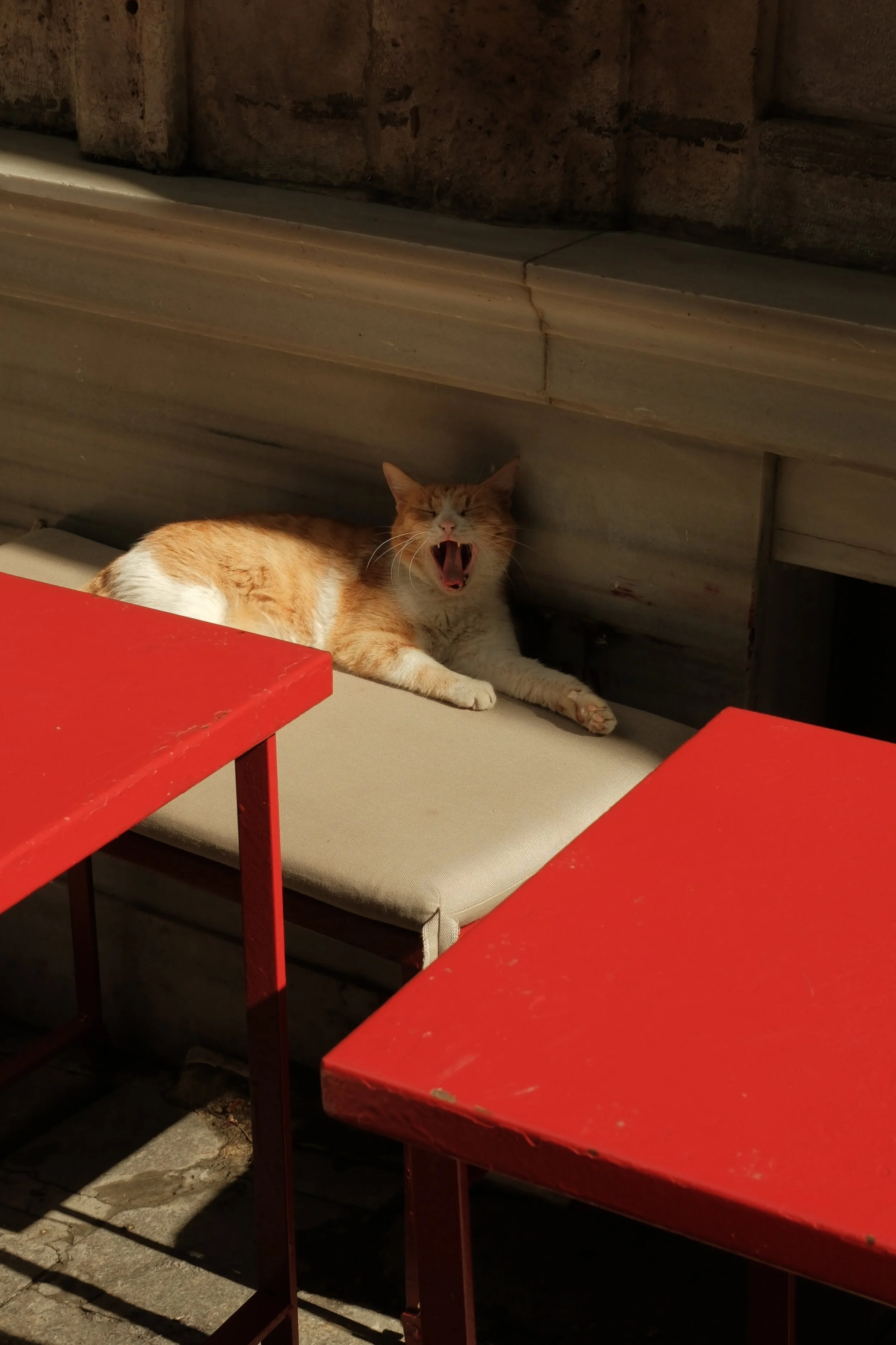 DSCF2504.JPG
