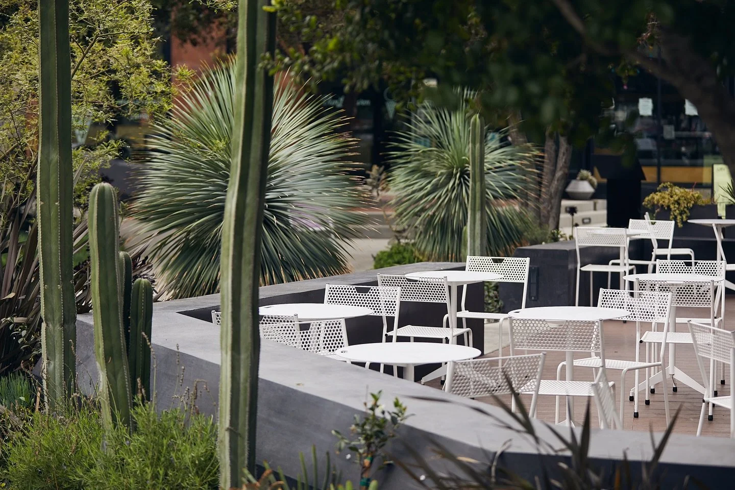You know it&rsquo;s RAD when it survives public space *and* a design critique.
 
#RADFurniture #PublicSpaceDesign #ModernFurniture #SoCalDesign #OutdoorFurniture #TheDavisPartners