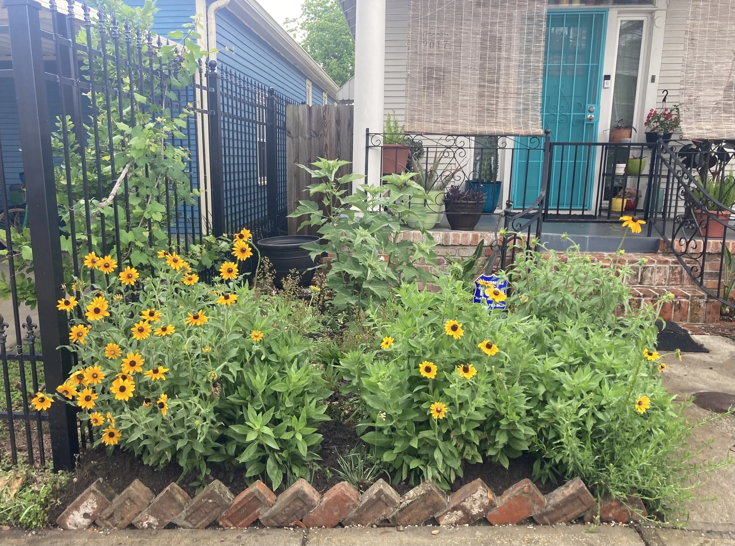 christin garden.jpg