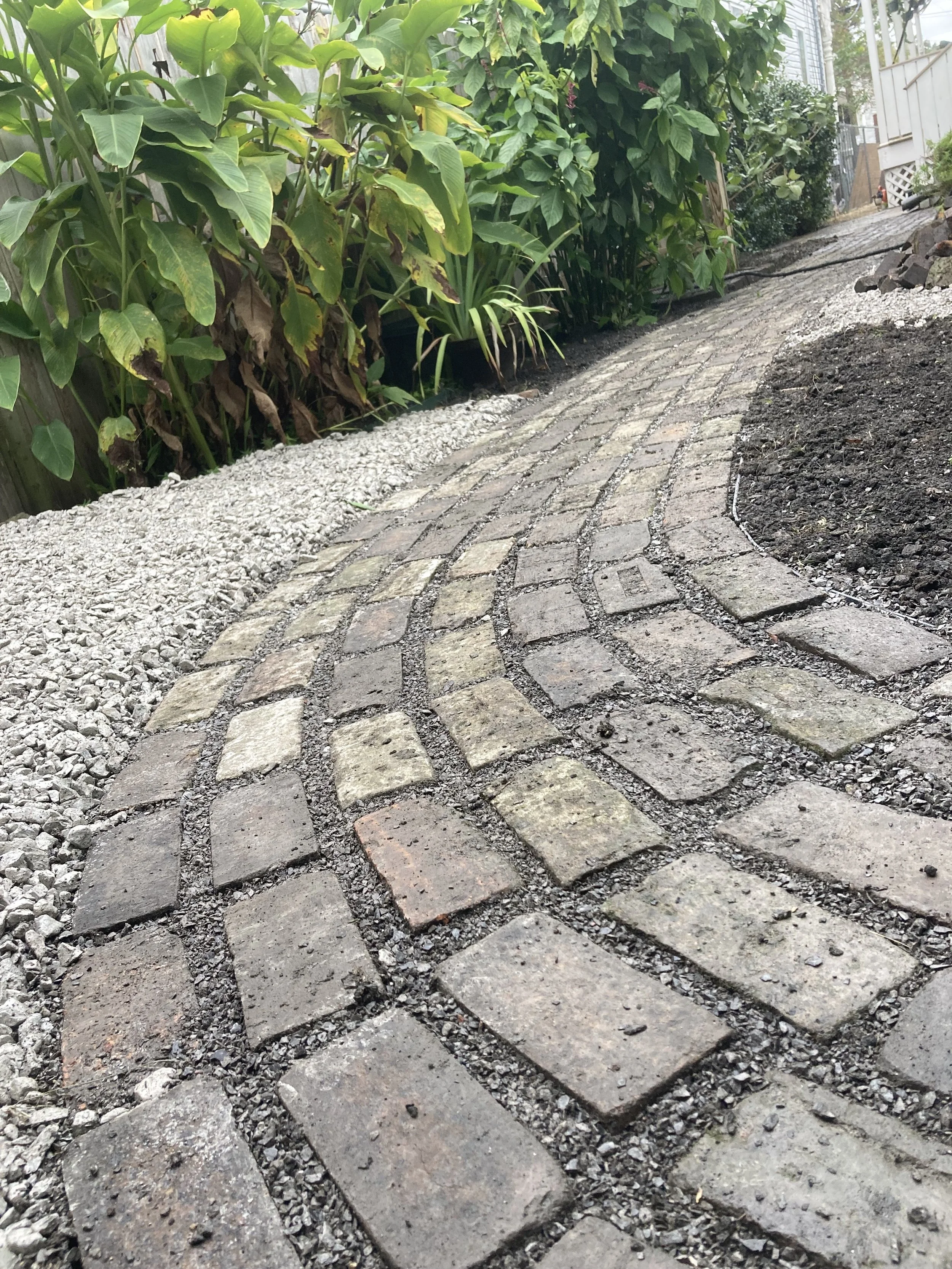 pathway.jpg