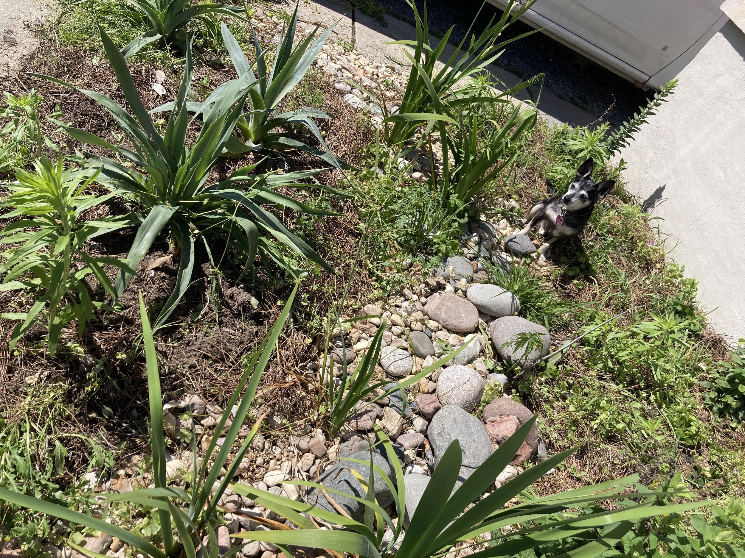 image-asset.jpeg copy.png