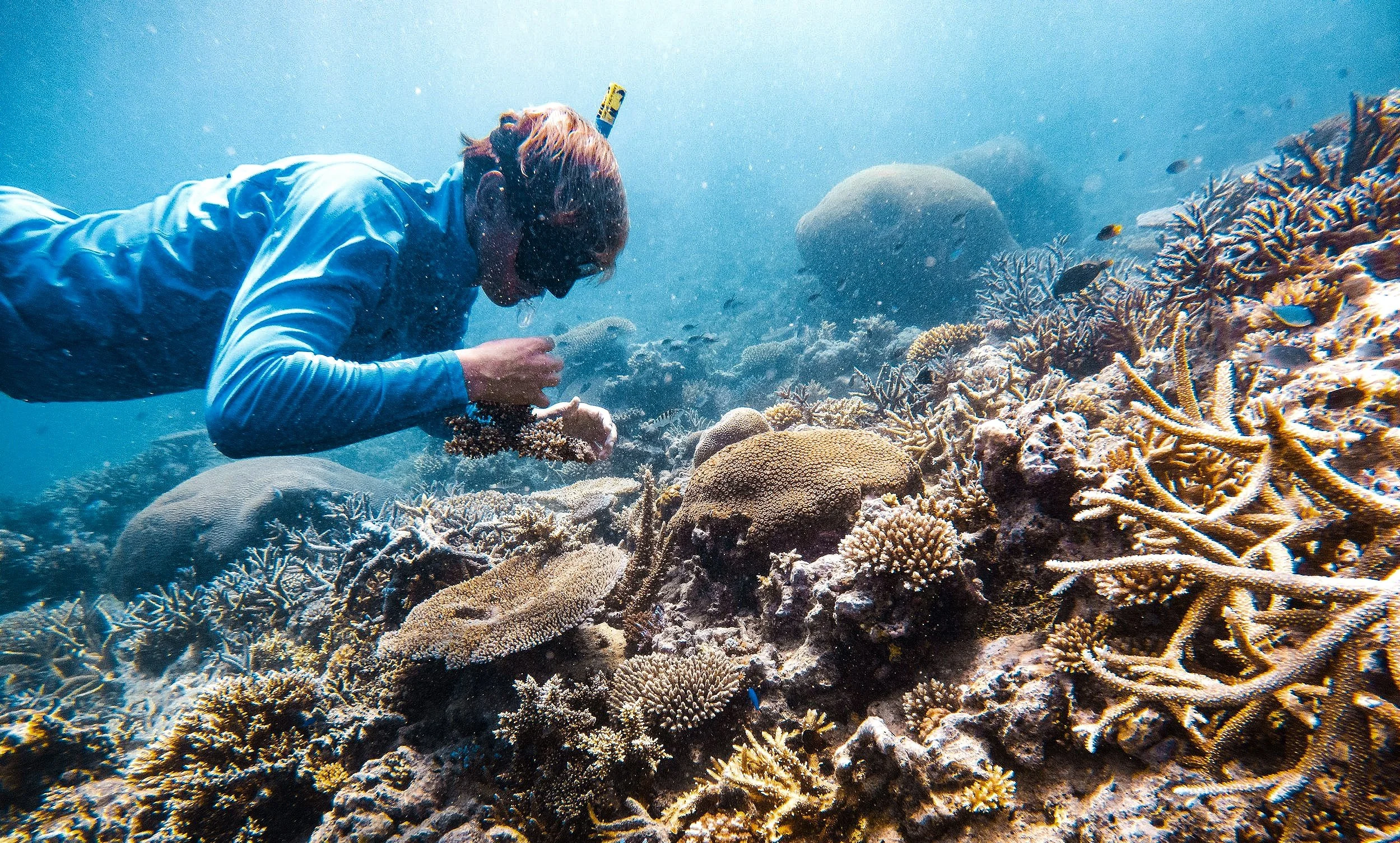 Barefoot-Manta-25-Conservation-Safari.jpg