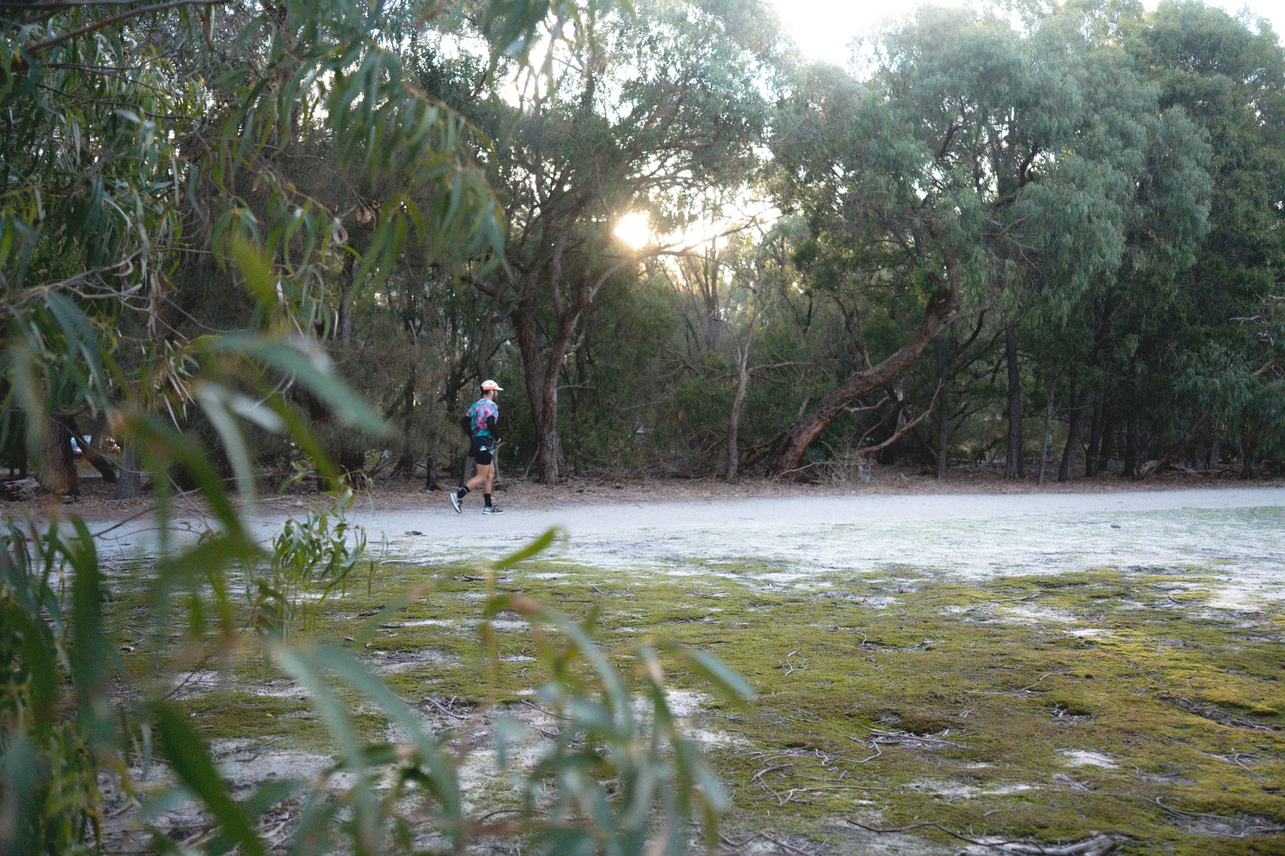 DSC03345.jpg