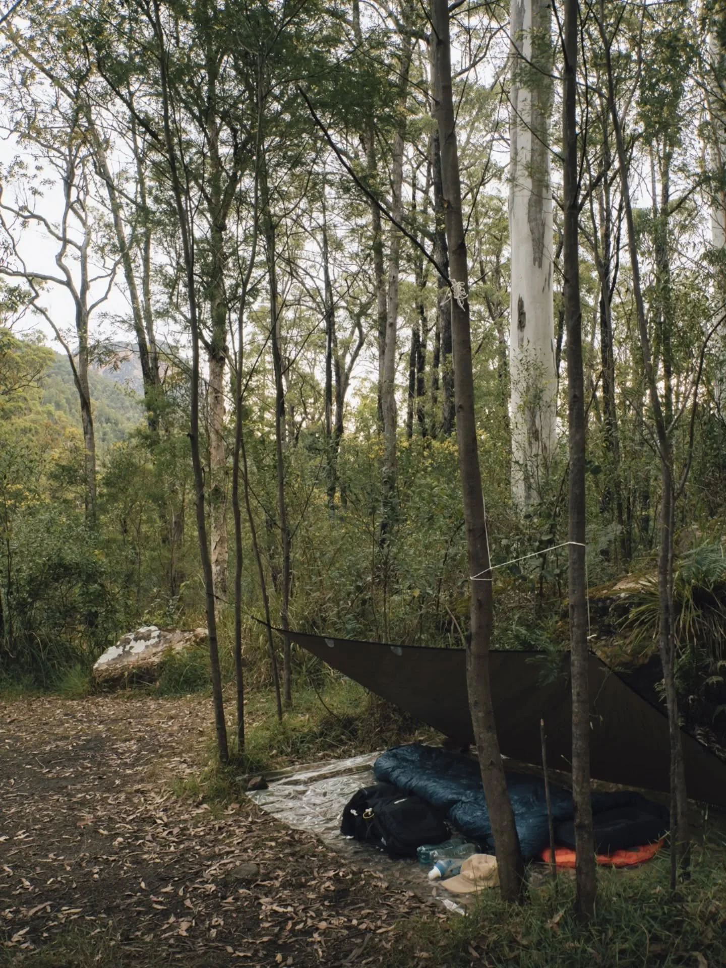 It took eight days to go camping after I arrived back in Australia from Tanzania.

With how busy life has been, I figured I'd try my luck with a small section of a Blue Mountains Thru Hike. The full route starts from Mount Victoria and finishes in La