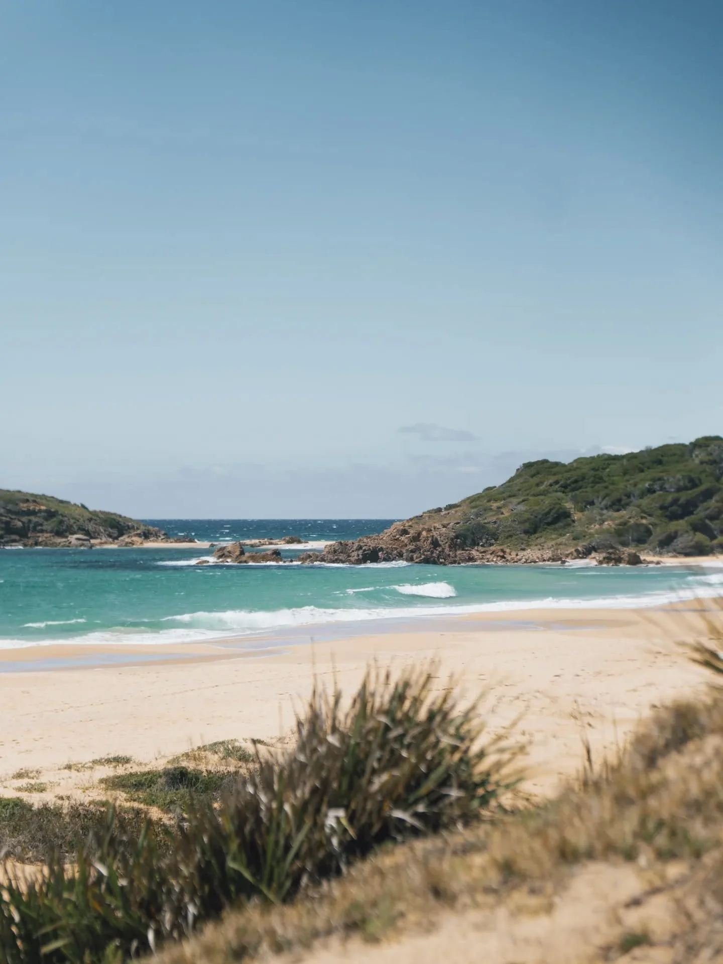 Leftovers from the last couple of weeks