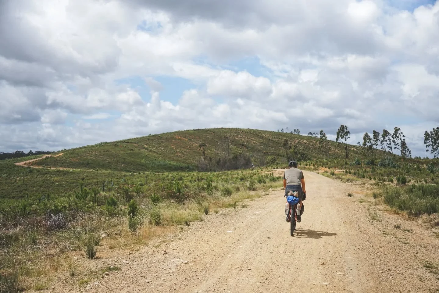 Day 1 Bikepacking The Tassie Traverse: Devonport > Launceston. 111.91km 1202m elevation gain. 

Technically not the start of the route but we're counting it since it's the start of the trip. We took the overnight ferry, met another bikepacker who 