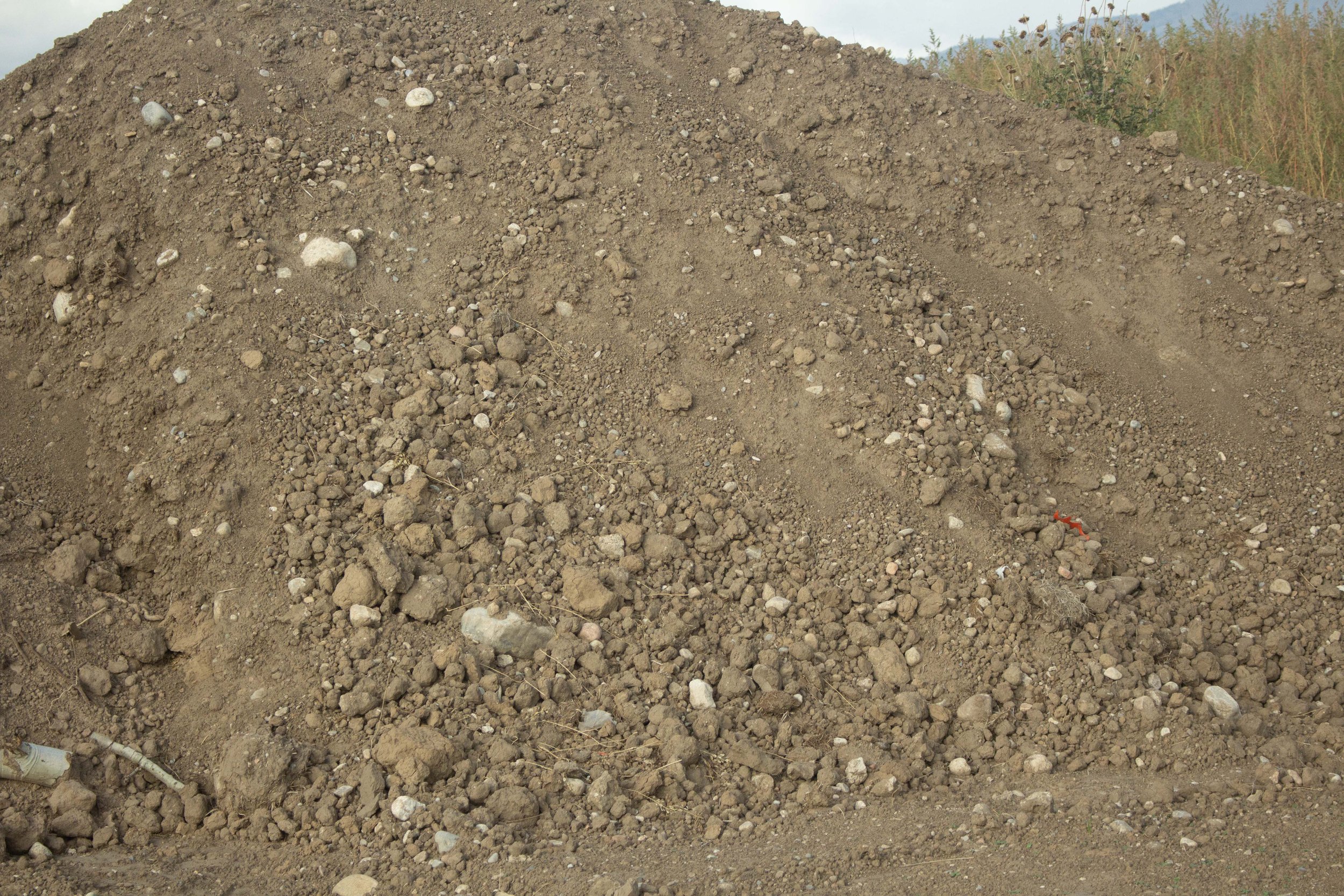 A mound of dirt and small rocks, with some patches of grass and plants in the background.