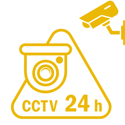 CCTV Systems