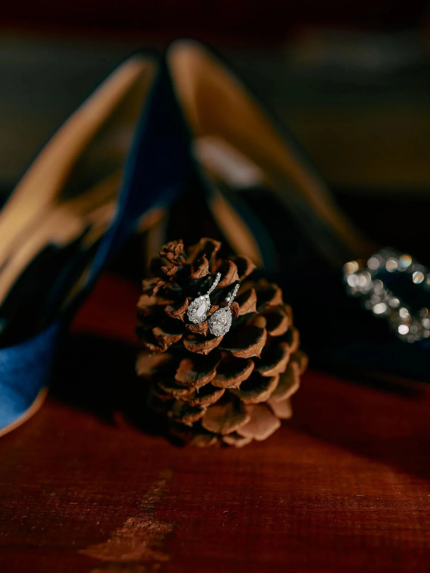 bridal-details-shoes-earrings.jpg