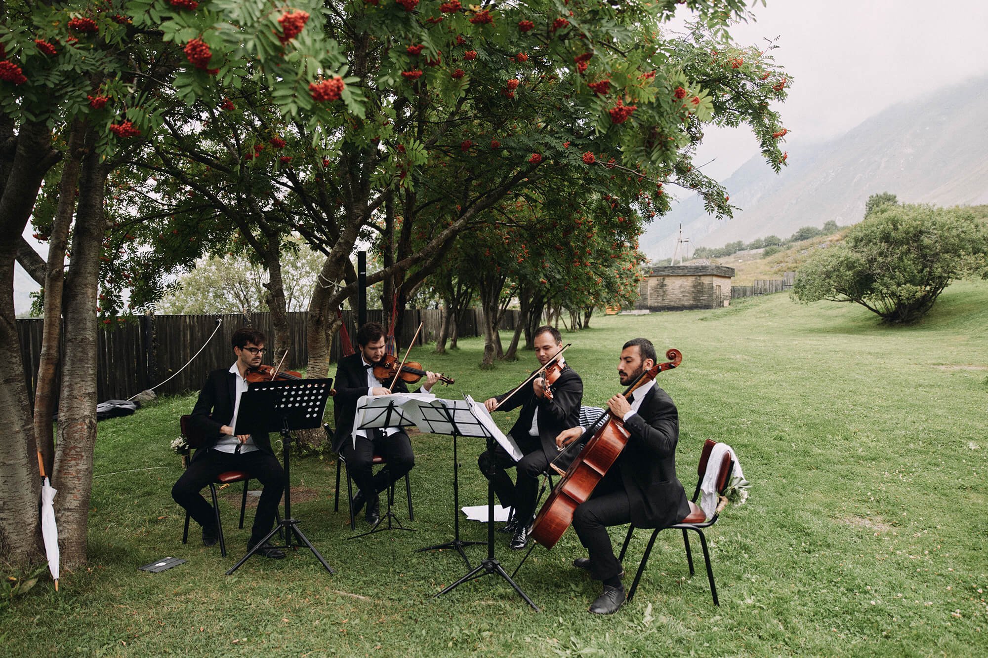 A small, chamber-style orchestra playing an elegant, intimate music for wedding ceremonie