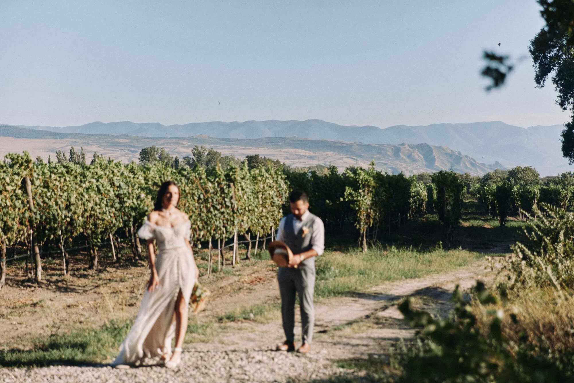 Bride and groom walking through a vineyard at sunset