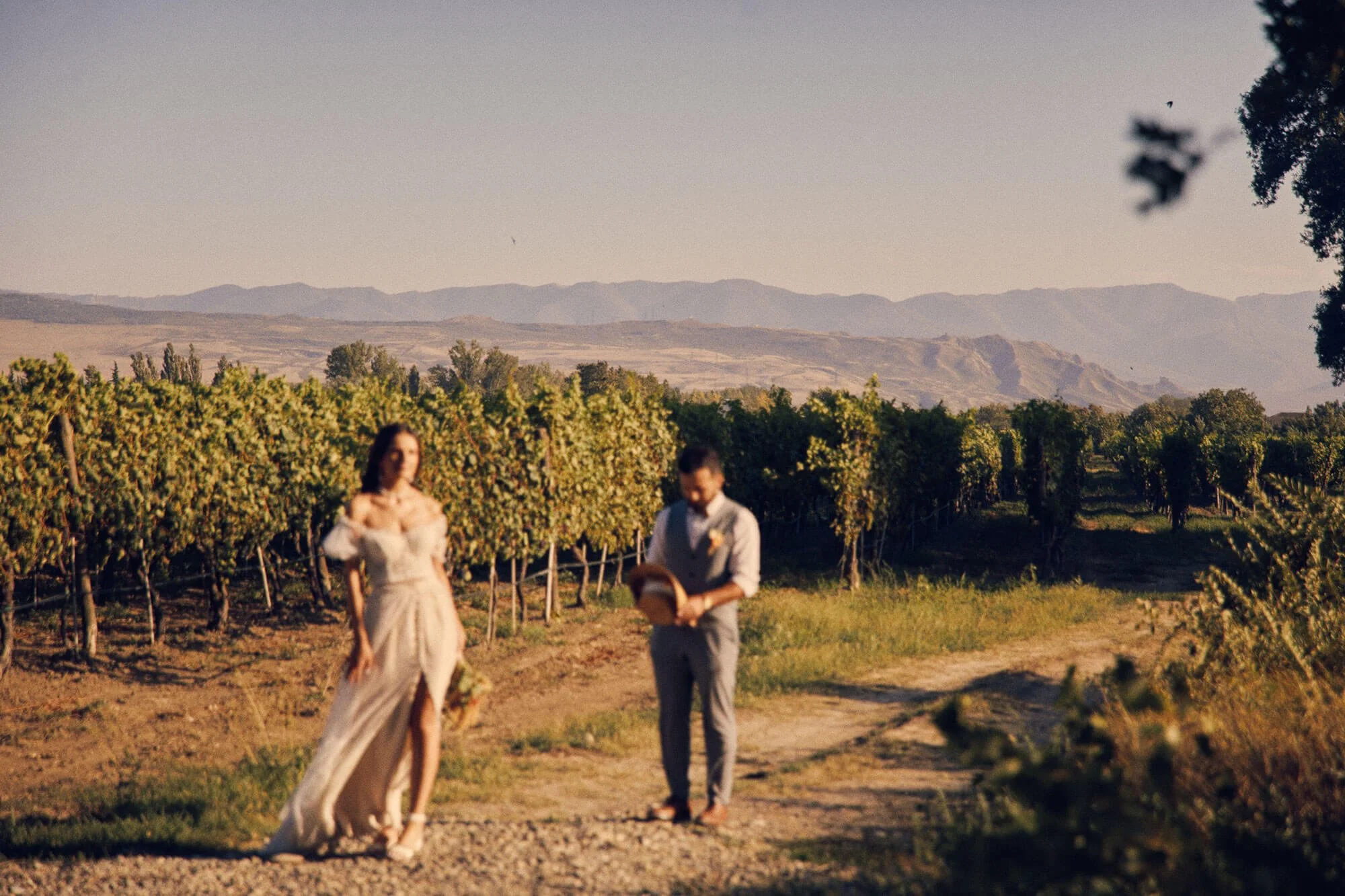 Bride and groom walking through a vineyard at sunset.