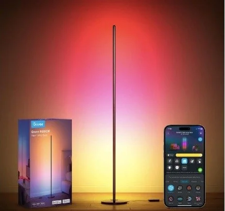Govee RGBIC - Lámpara de pie, lámpara de esquina LED funciona con Alexa