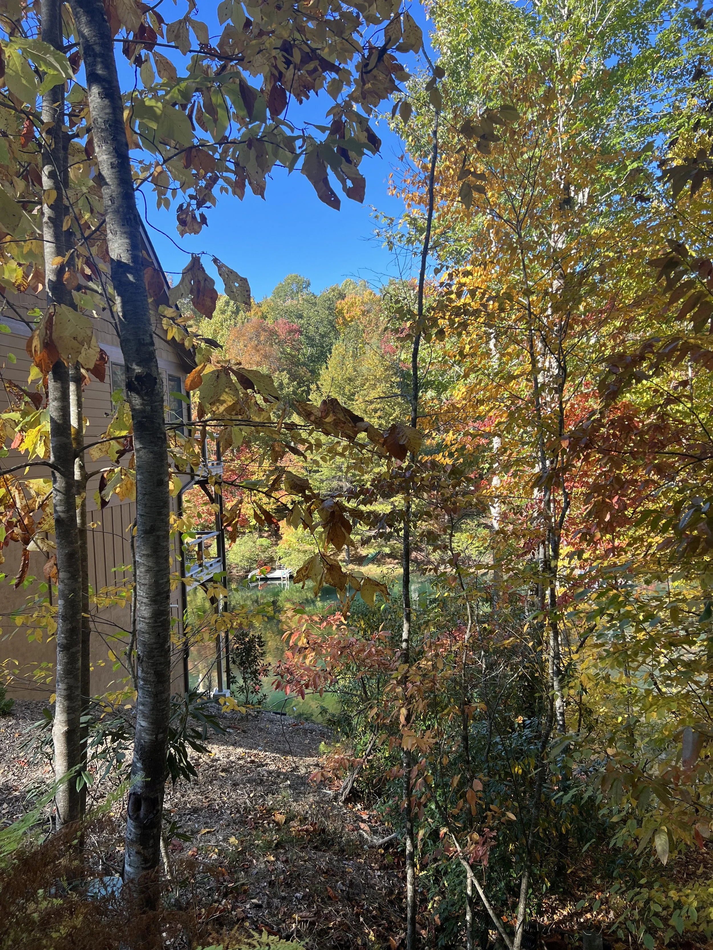 IMG_6216.jpg