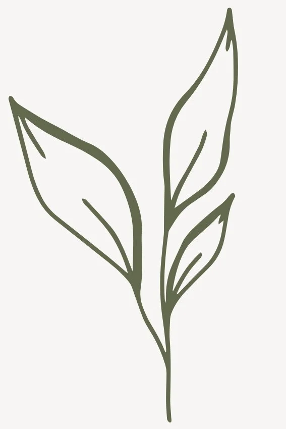 Naturopath in Townsville Cardwell - remedy natural health logo