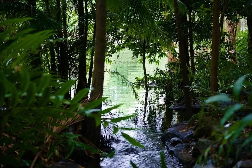 Naturopath located on cardwell queensland