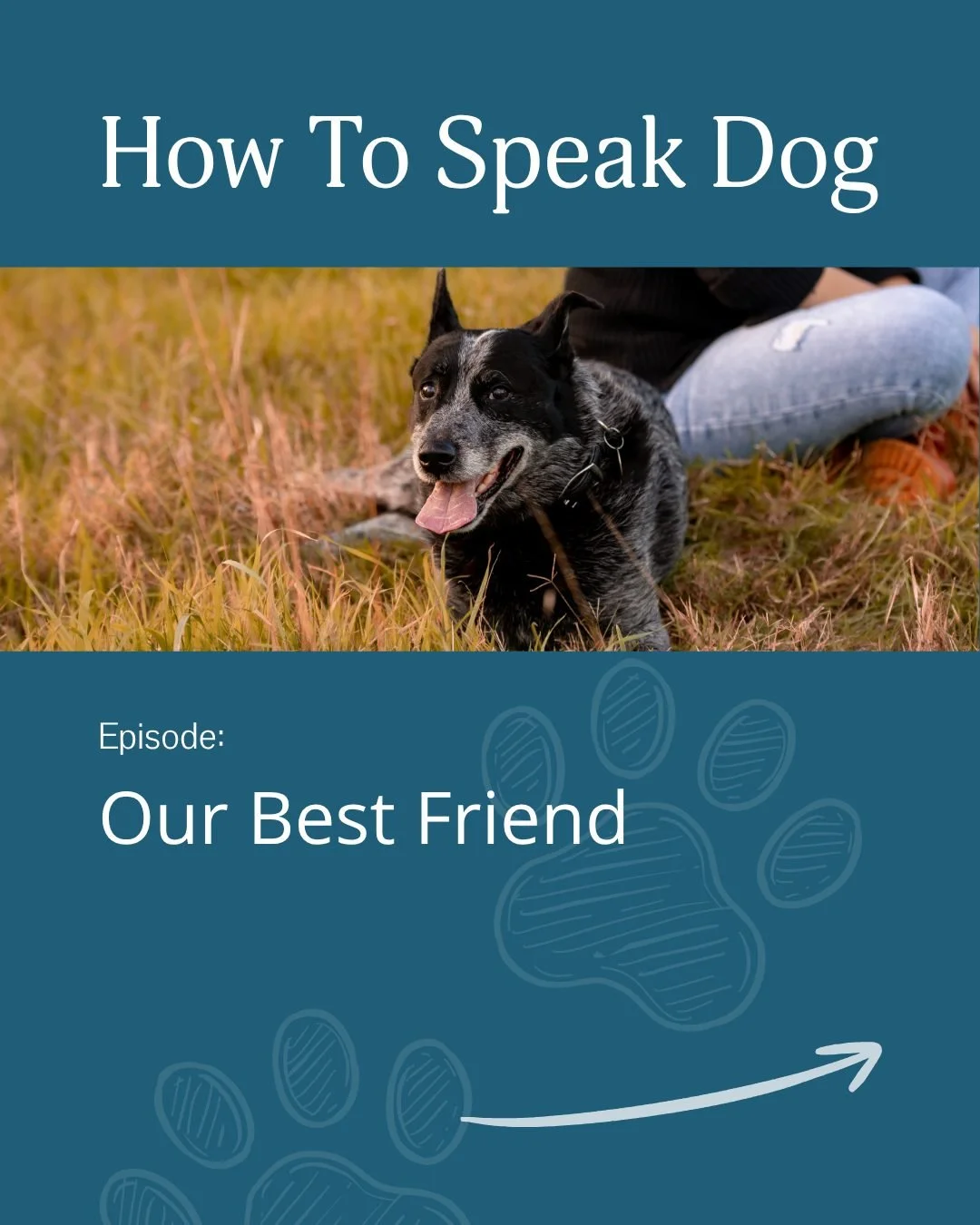 🐾 How to speak dog - Episode: Our best friend 🐾
When you pat a dog and look into their eyes, you both get a hit of oxytocin (the love hormone)

In leadership, it&rsquo;s the same principle.
When you take time for real connection, listening without 