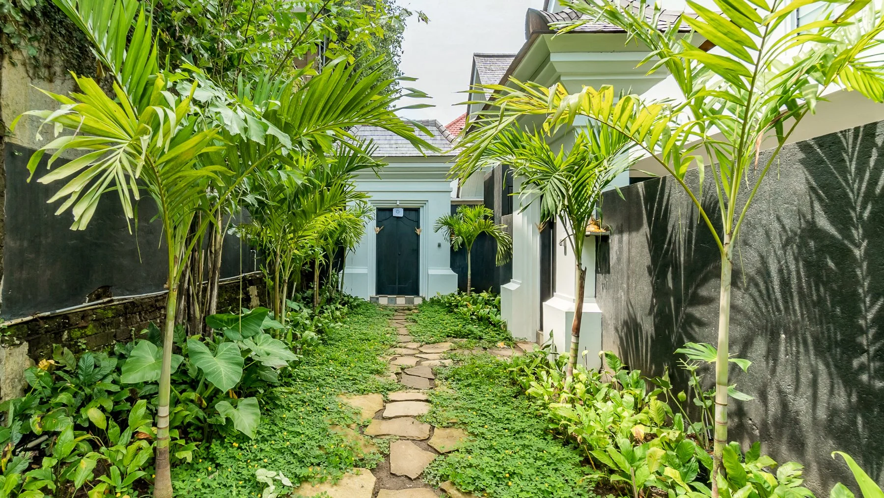 A lush garden pathway lined with tall palm trees and green plants leading to a small blue building with a black door, flanked by white walls and black fencing.